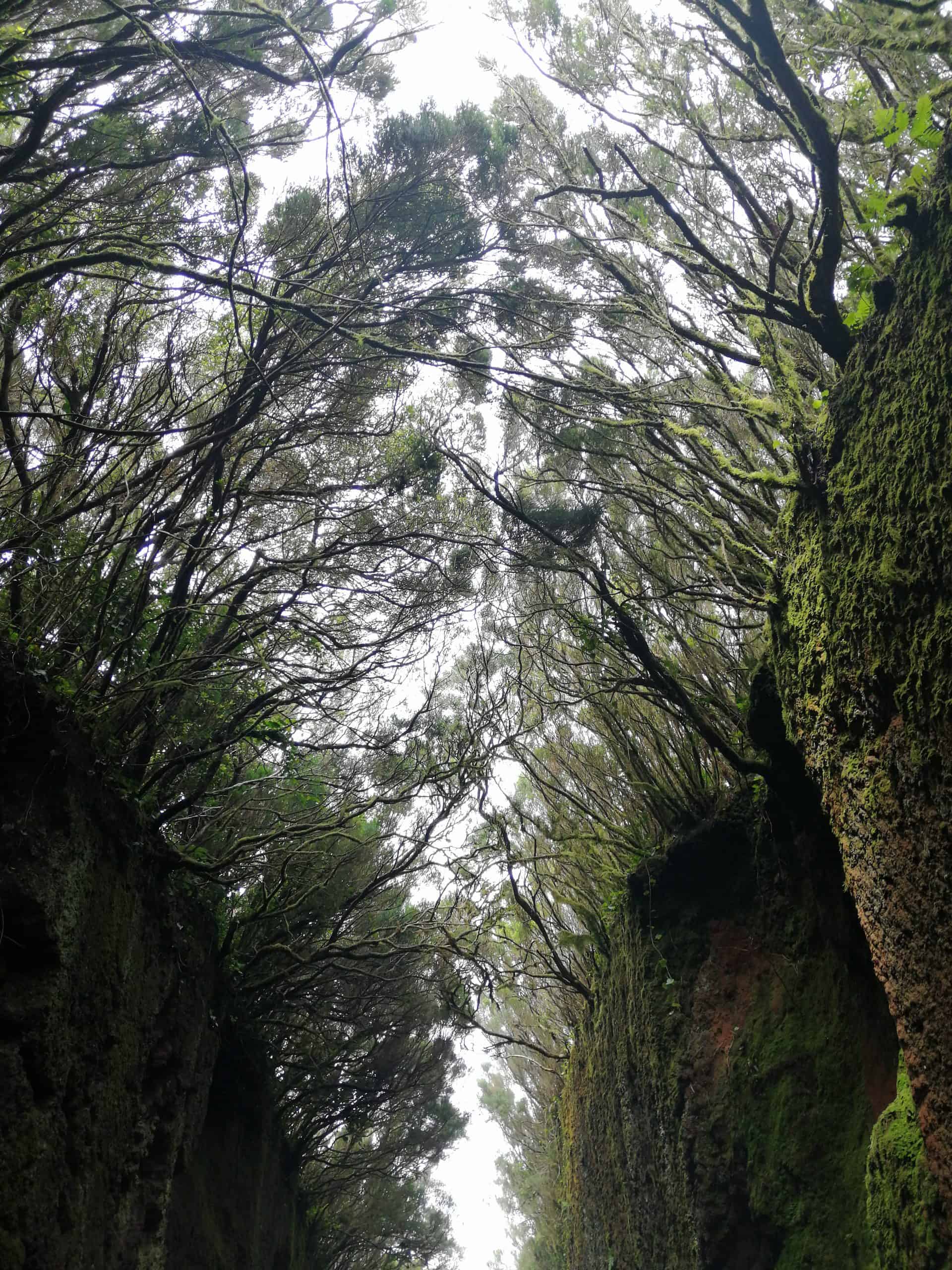 Tenerife National Parks with children