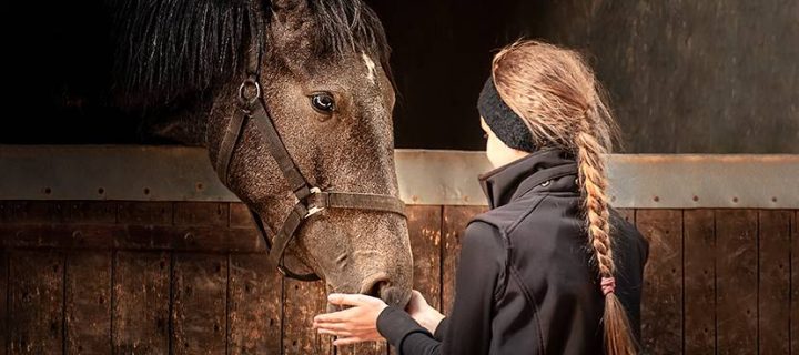 Molainiai stud farm