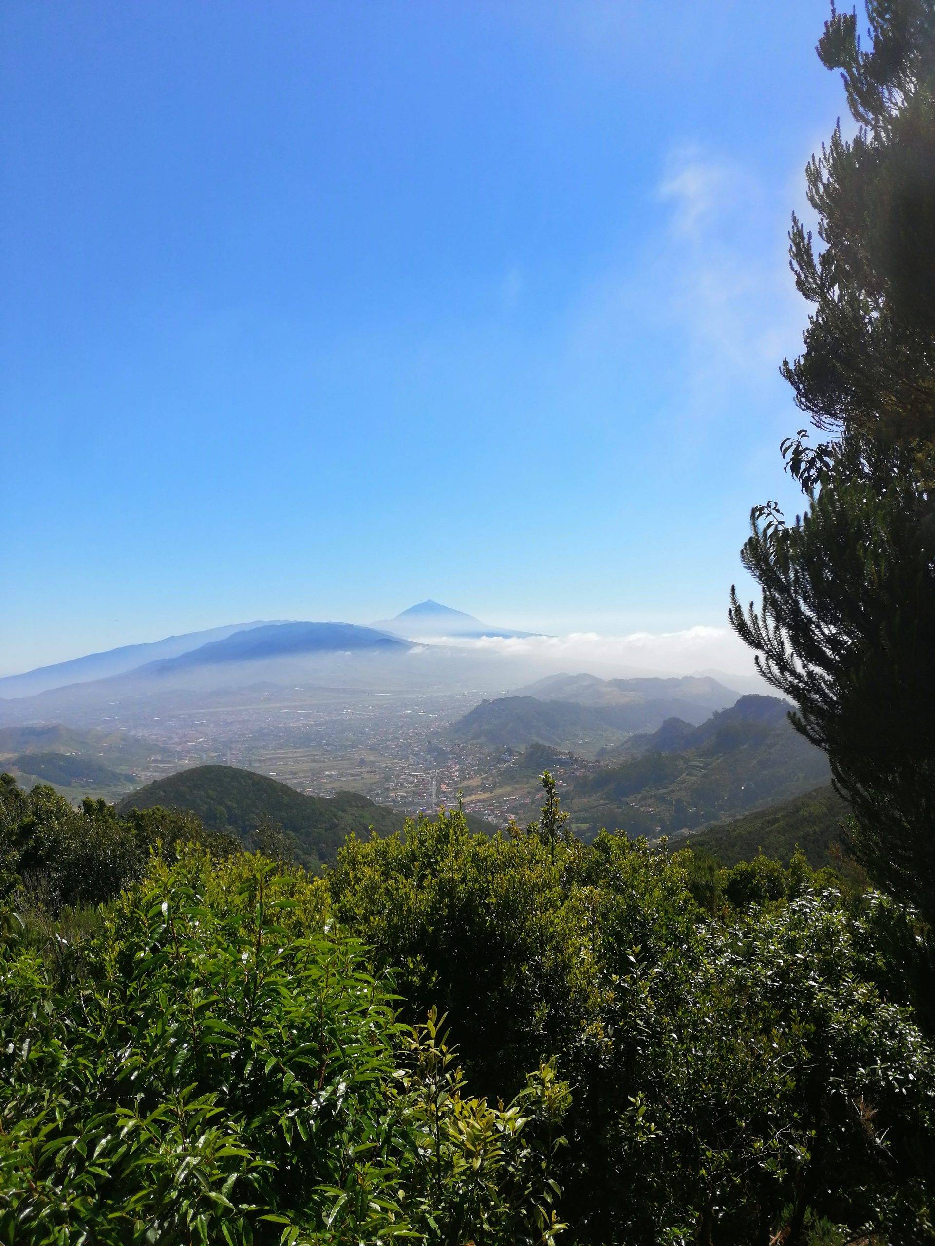 TOP30 viewpoints in Tenerife with children