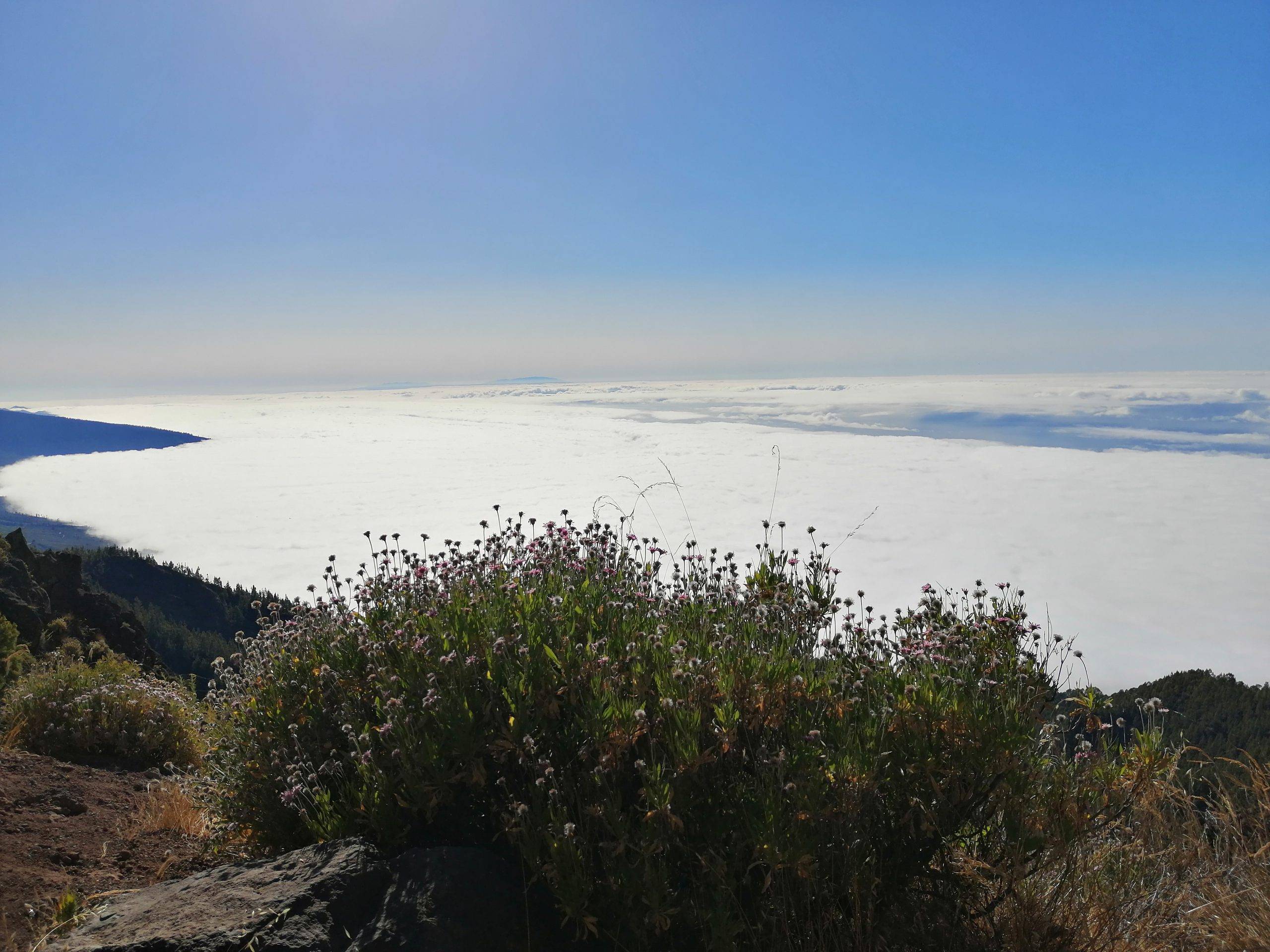 TOP30 viewpoints in Tenerife with children