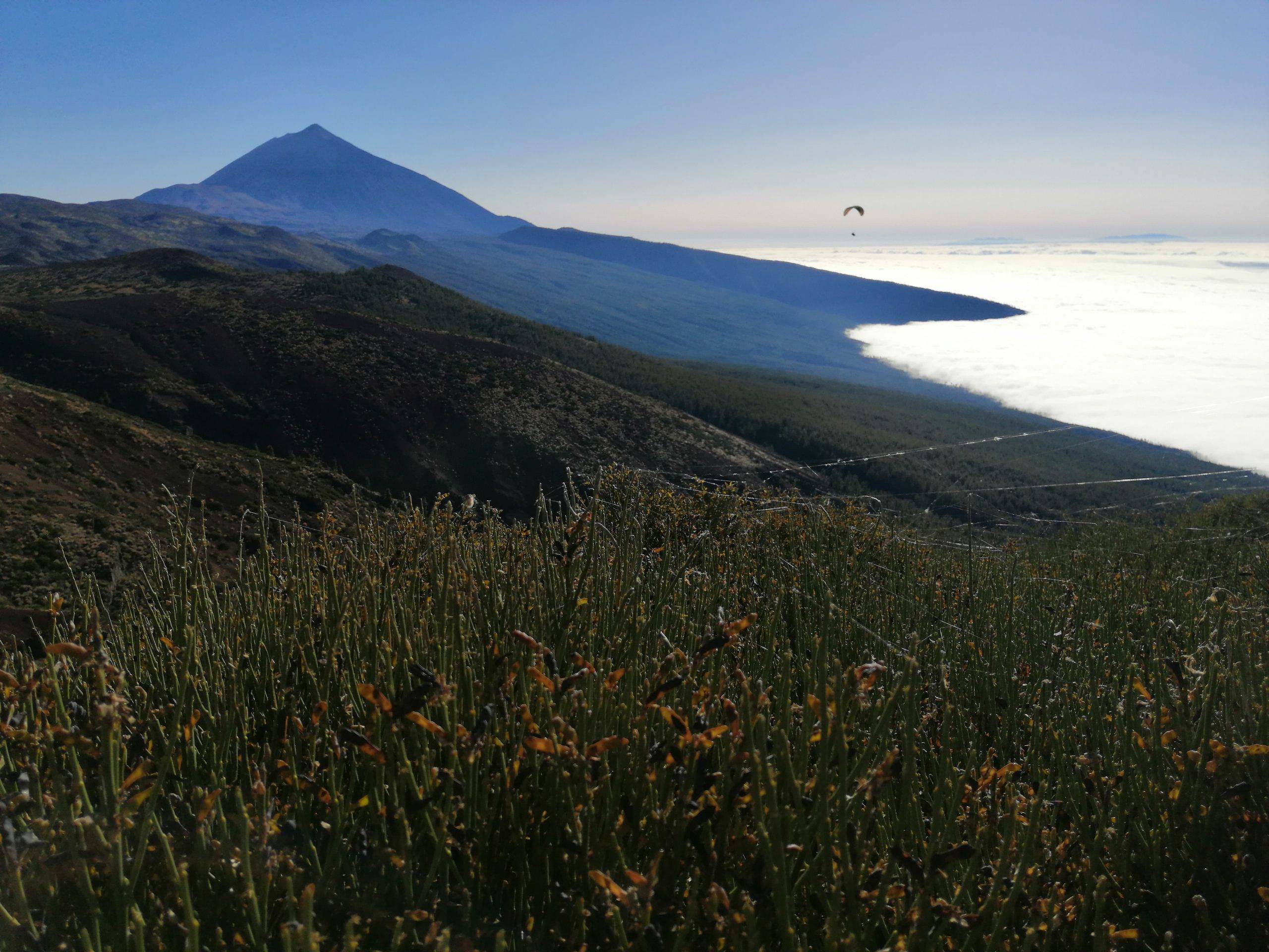 TOP30 viewpoints in Tenerife with children