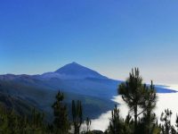 TOP30 Viewpoints in Tenerife with Children