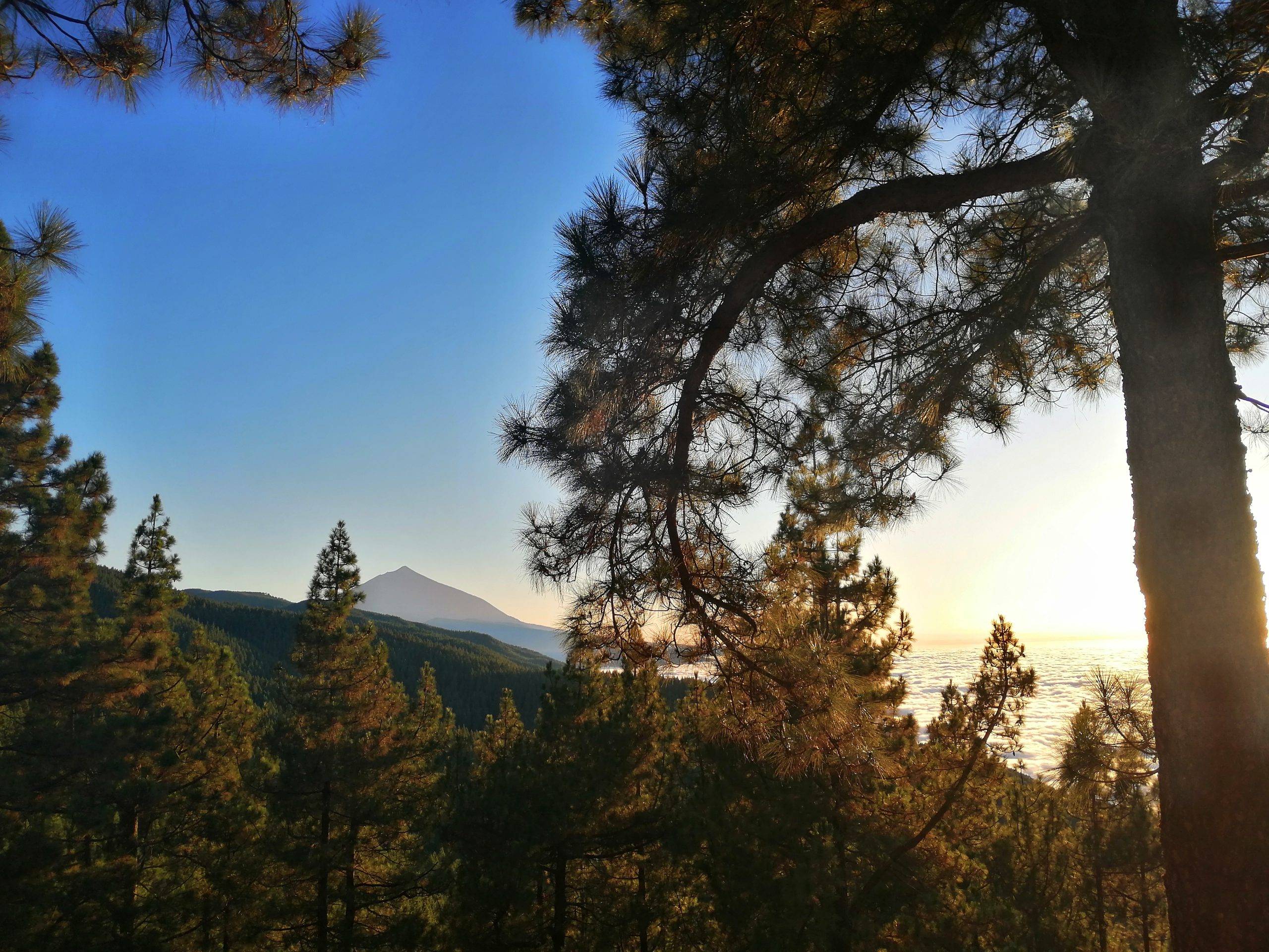 Teide TOP10 viewpoints