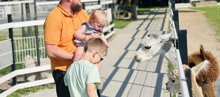 Dargaiciai zoo and Alpaca farm