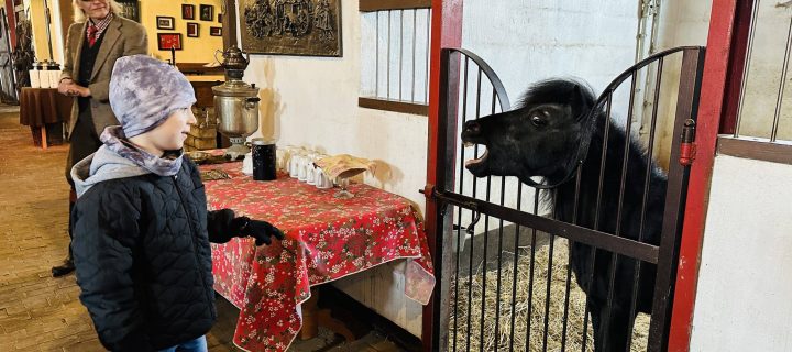 Birthdays at the Grybai Manor Stables