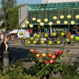 Obuolinės ir turizmo naktis Anykščiuose