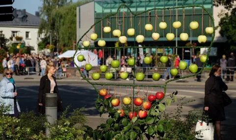 Obuolinės ir turizmo naktis Anykščiuose