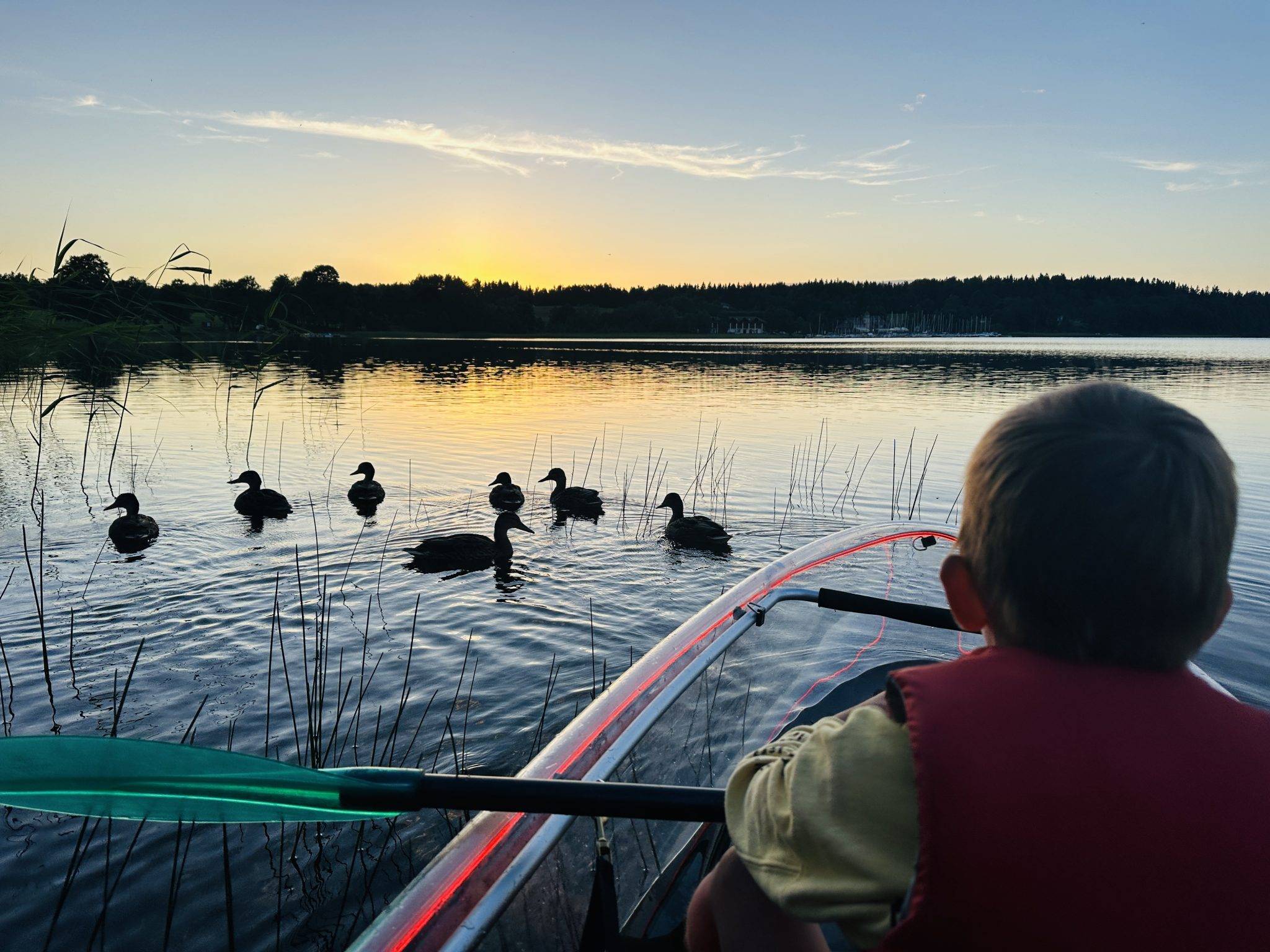 Travelling with children in Lithuania: recommendations Transparent boats in Plateliai Where can I go boating? Transparent boats in Plateliai