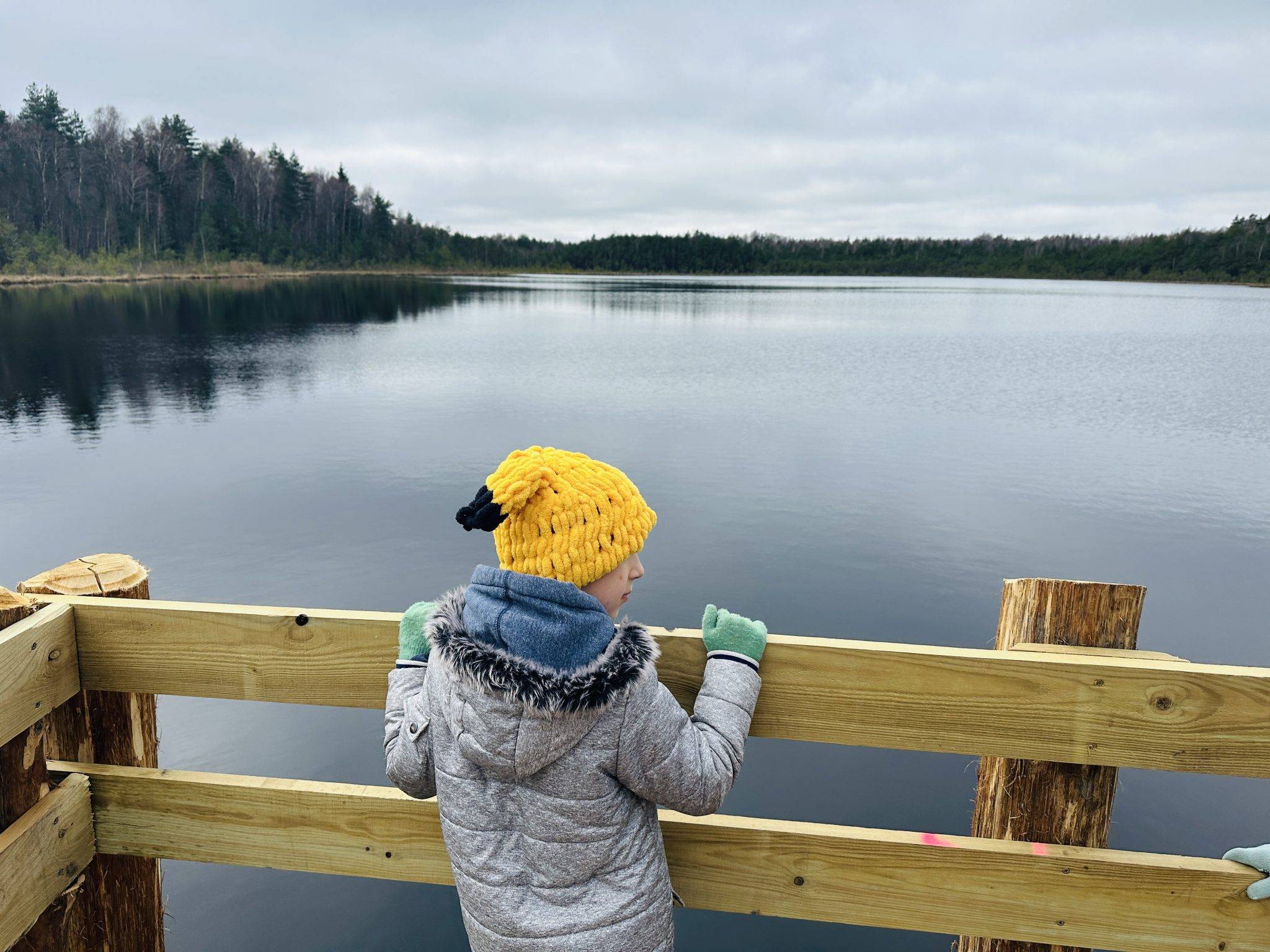 Travelling with children in Lithuania: recommendations