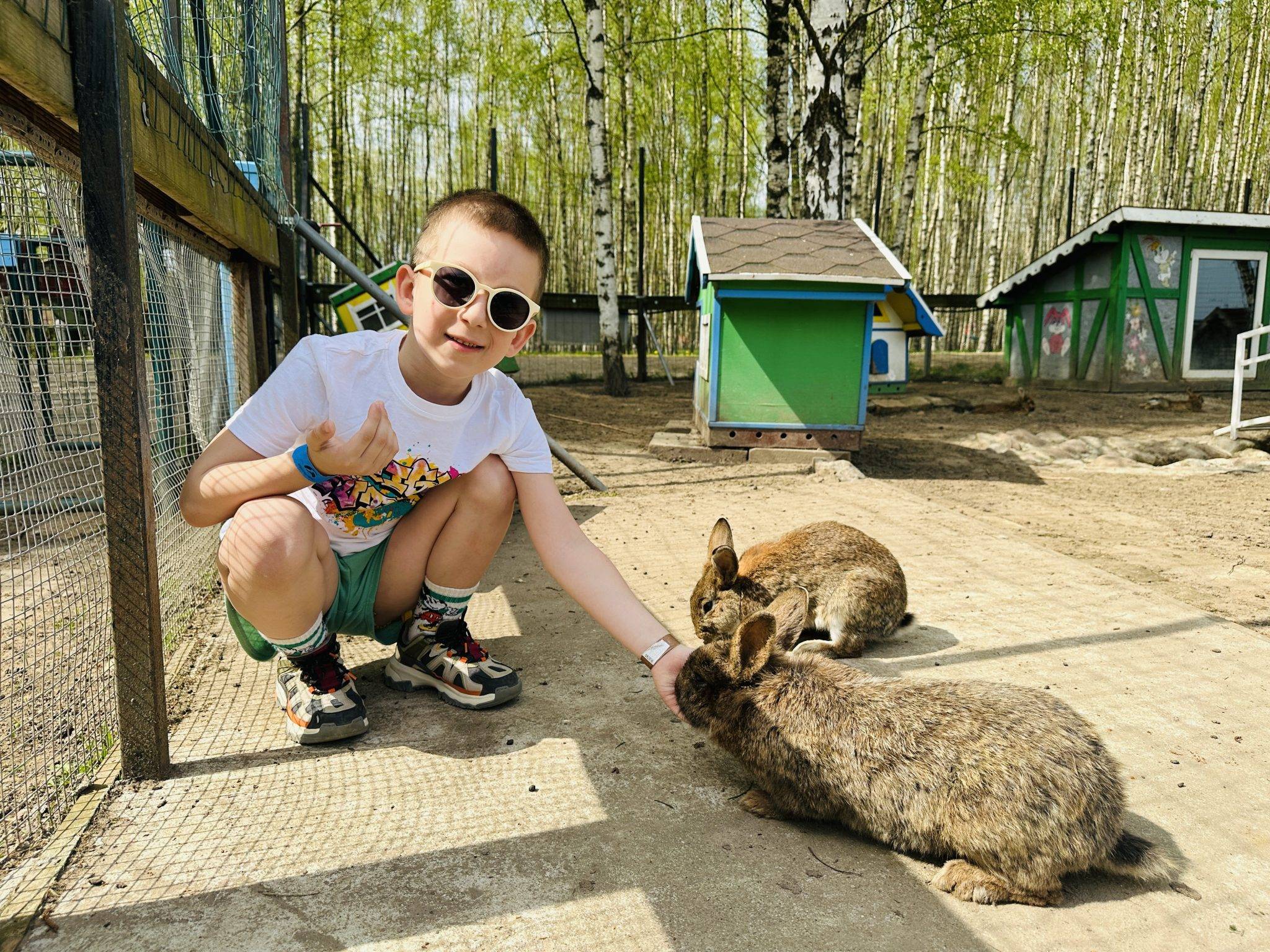 Dino Park animals