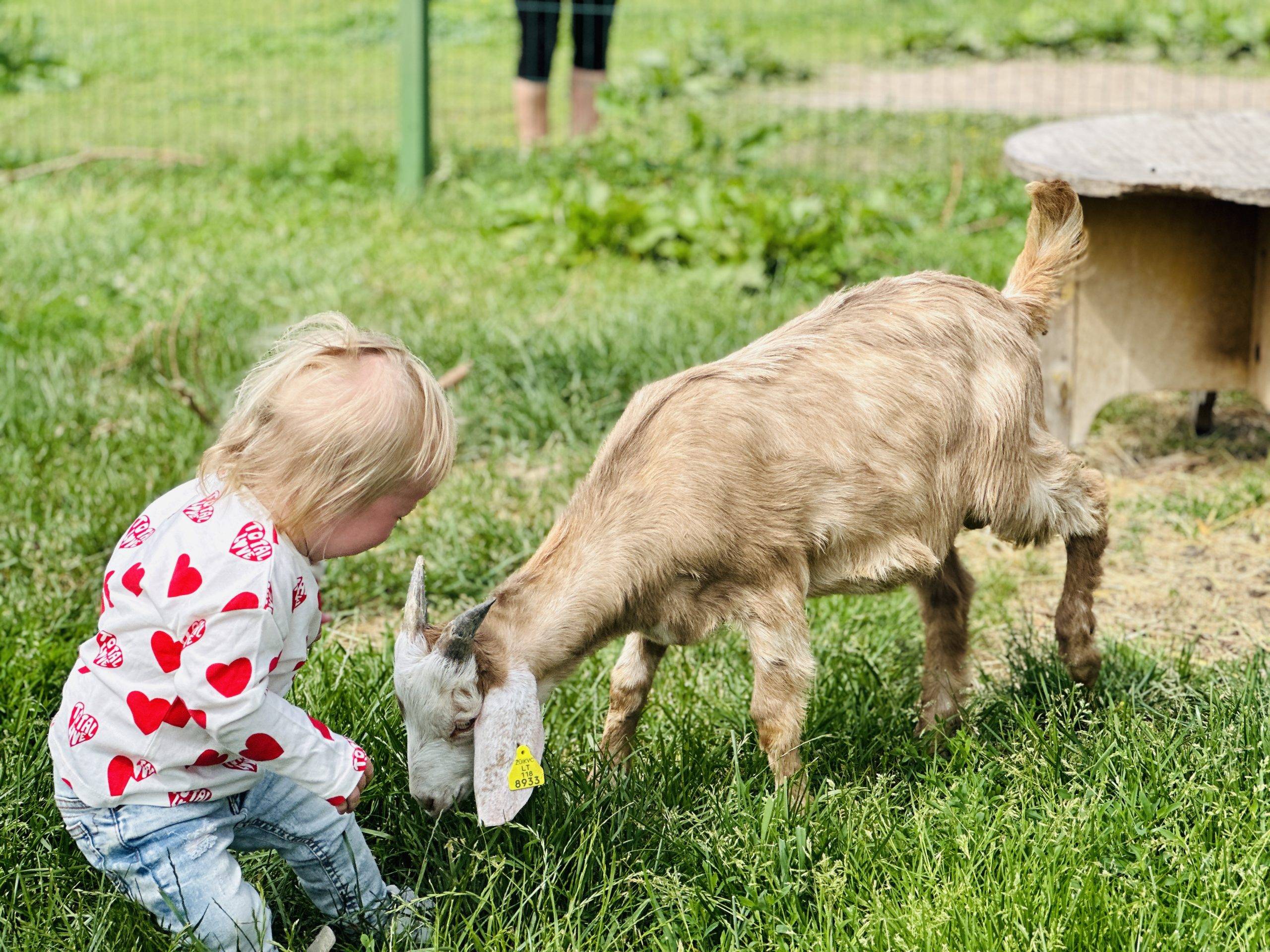 Travelling with children in Lithuania: recommendations