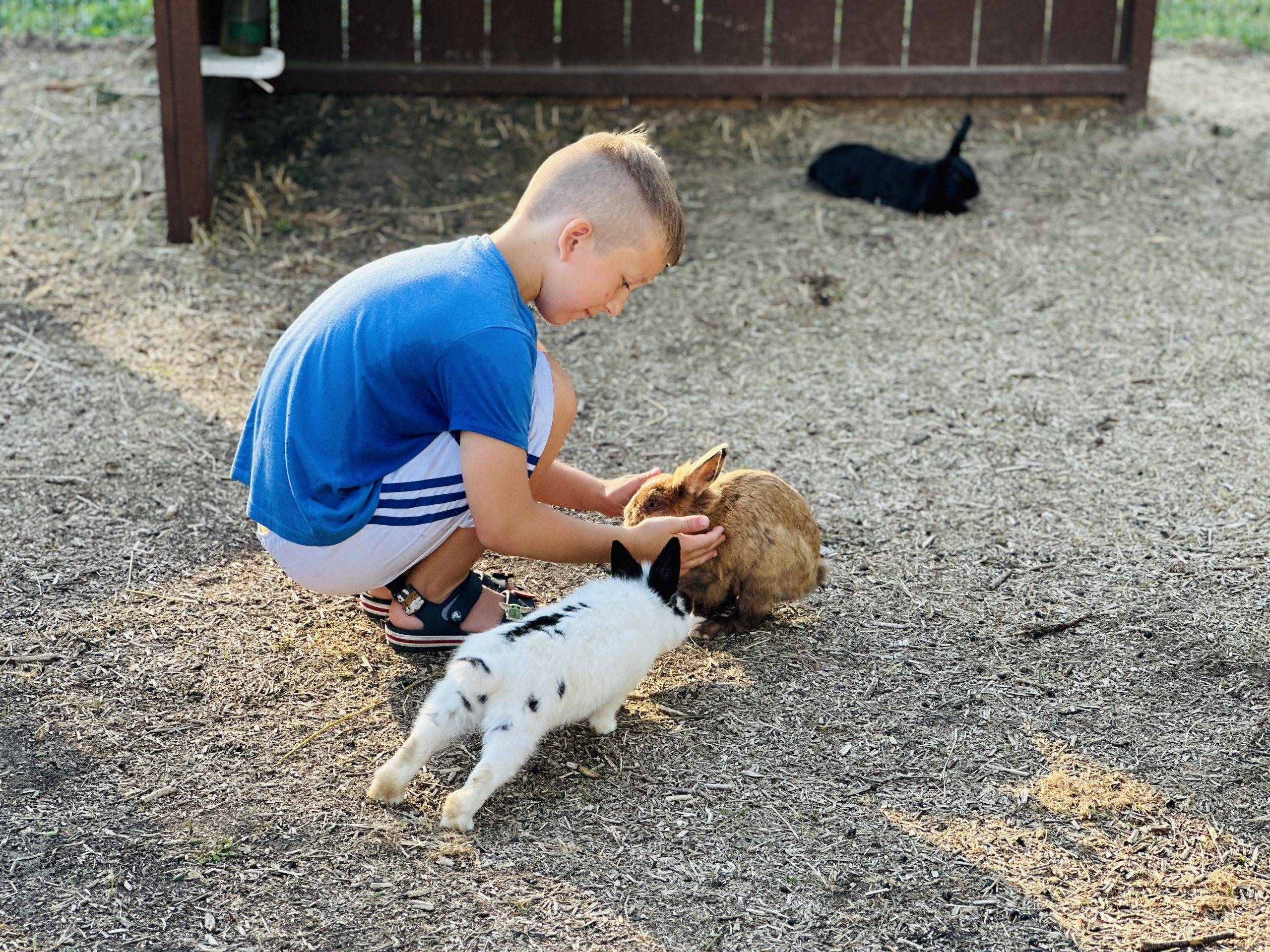 Lithuanian animal farms and parks