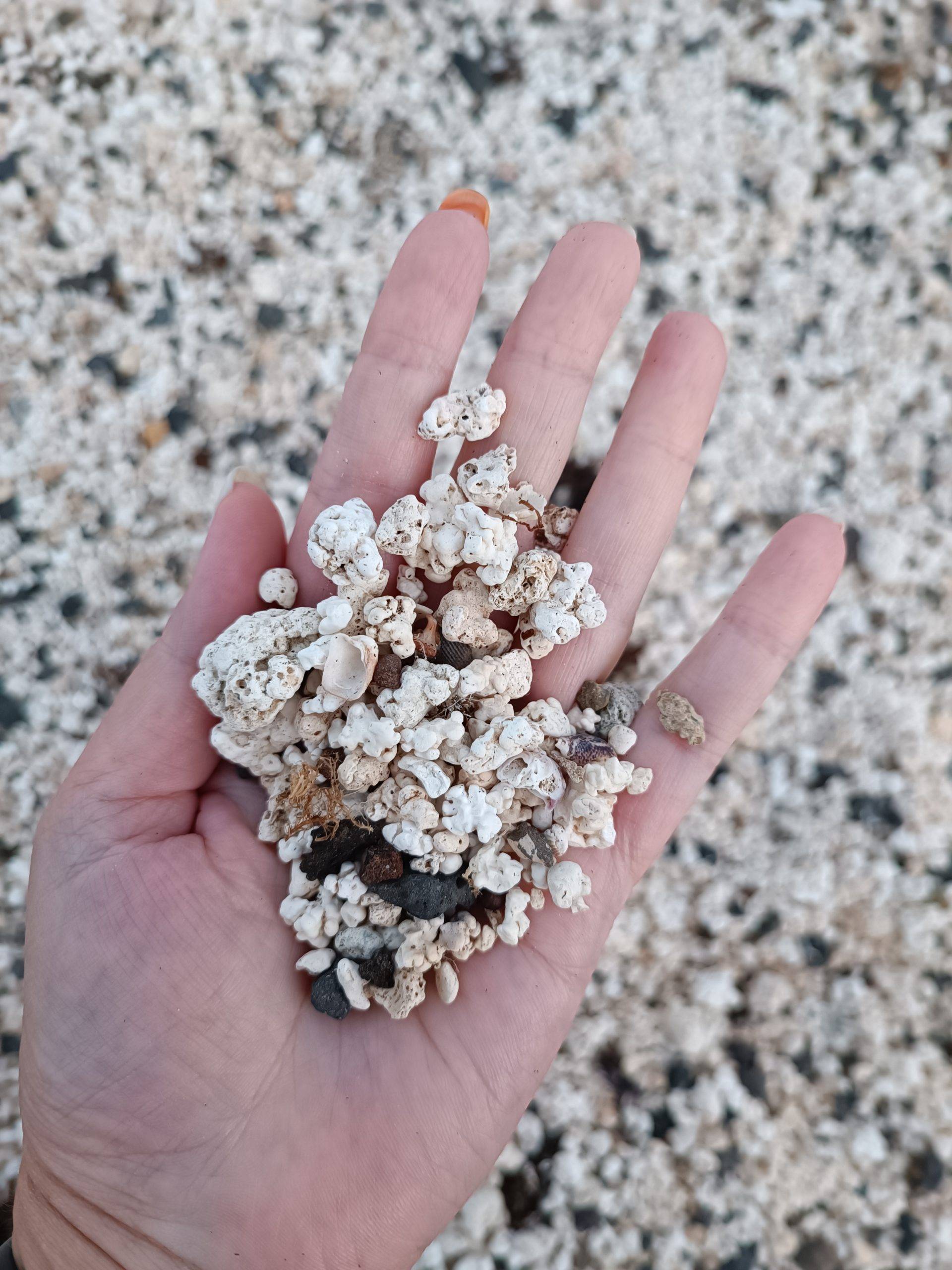 Pop Corn Beach