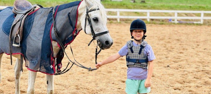 Stud farm & riding club near Vilnius