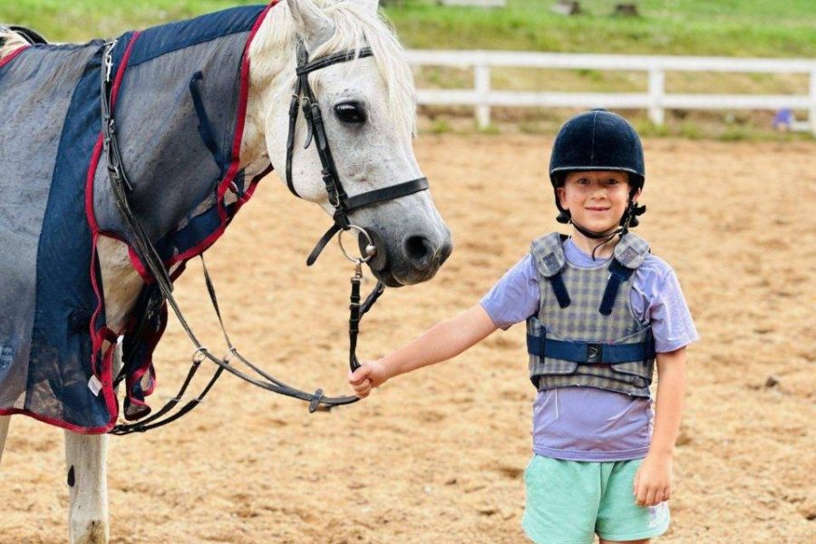 Stud farm & riding club near Vilnius