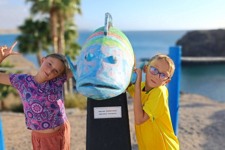 Fuerteventura with children