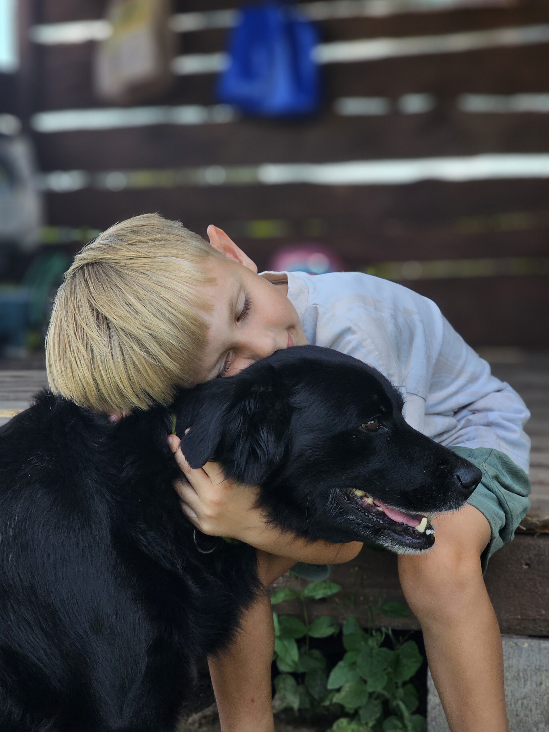 Ponių ranča vasaros stovyklos