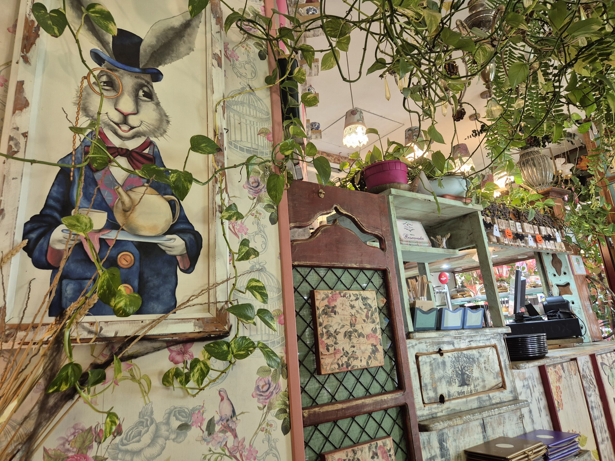 Lilies Garden Las Galletas