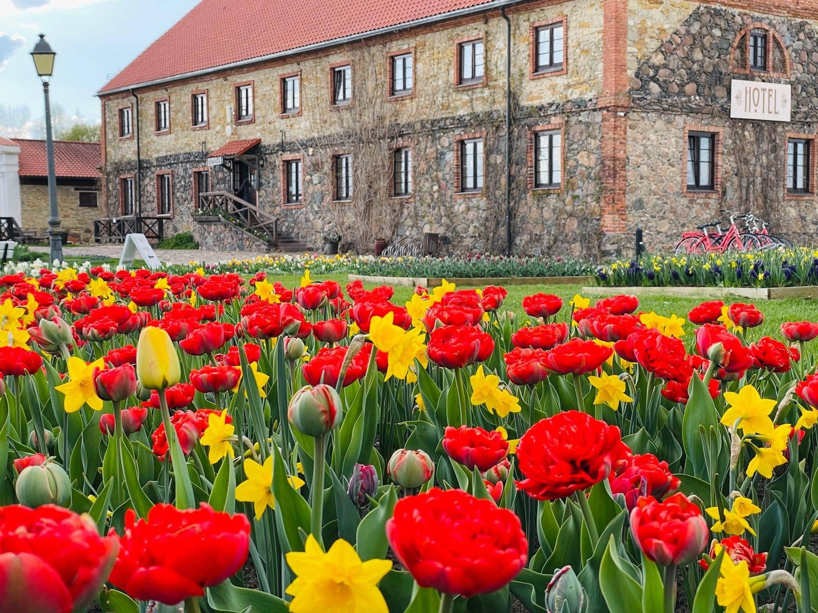 Tulpių ir pavasario gėlių festivalis Pakruojo dvare 2025