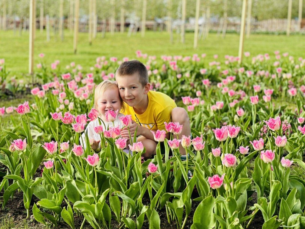Tulpių ir pavasario gėlių festivalis Pakruojo dvare 2025