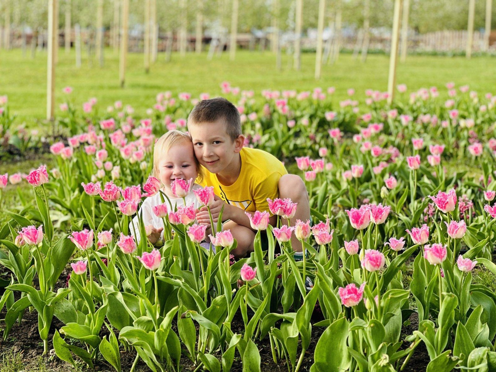 Tulpių ir pavasario gėlių festivalis Pakruojo dvare 2025