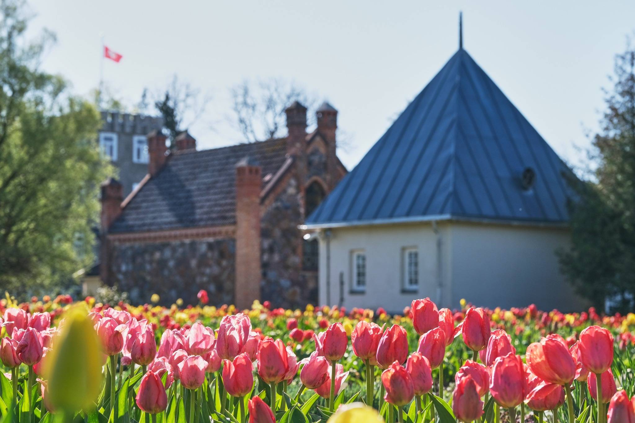 Burbiškio dvaro Tulpių žydėjimo šventė