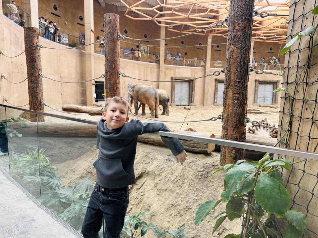 Atraskite geriausius Lenkijos zoologijos sodus
