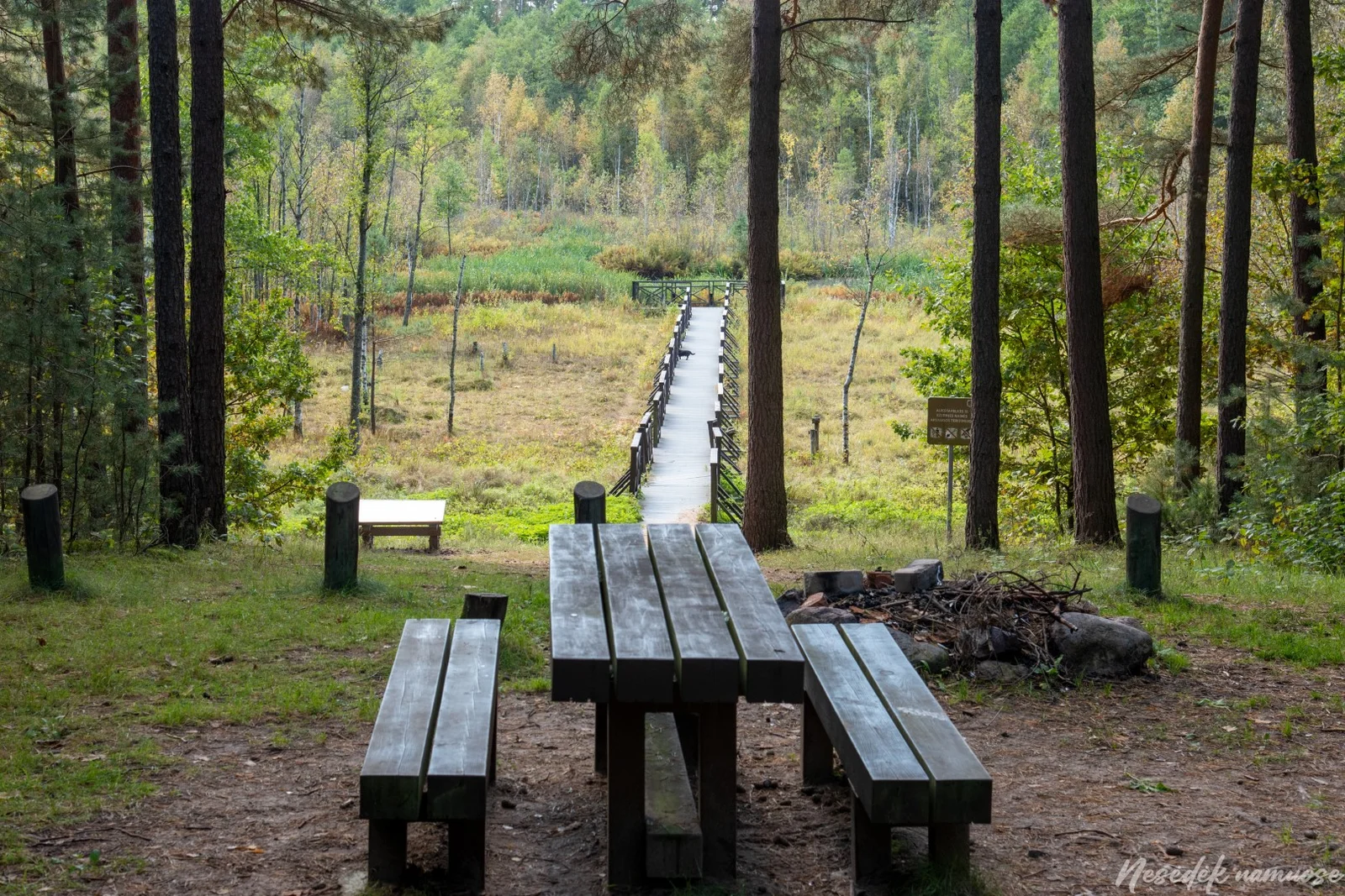 Bijotų-Širvinto miškų pažintinis takas (nuotrauka iš mūsų draugų „Nesėdėk namuose“ svetainės)