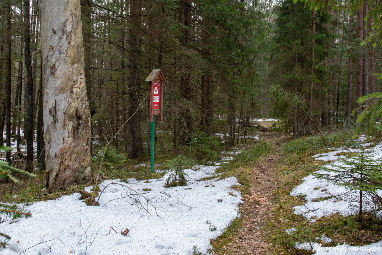 Drevinės bitininkystės pažintinis takas (nuotrauka iš mūsų draugų „Nesėdėk namuose“ svetainės)