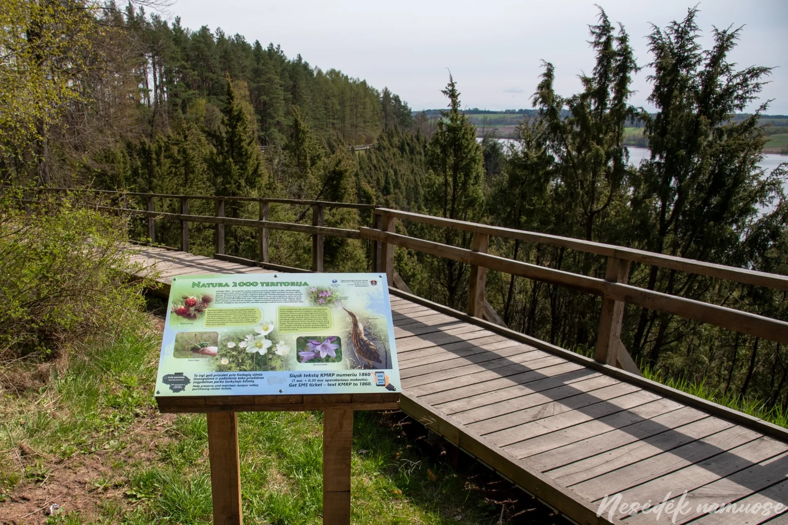 Žygiai Lietuvoje vaikams. Kadagių slėnio pažintinis takas (nuotrauka iš mūsų draugų „Nesėdėk namuose“ svetainės)
