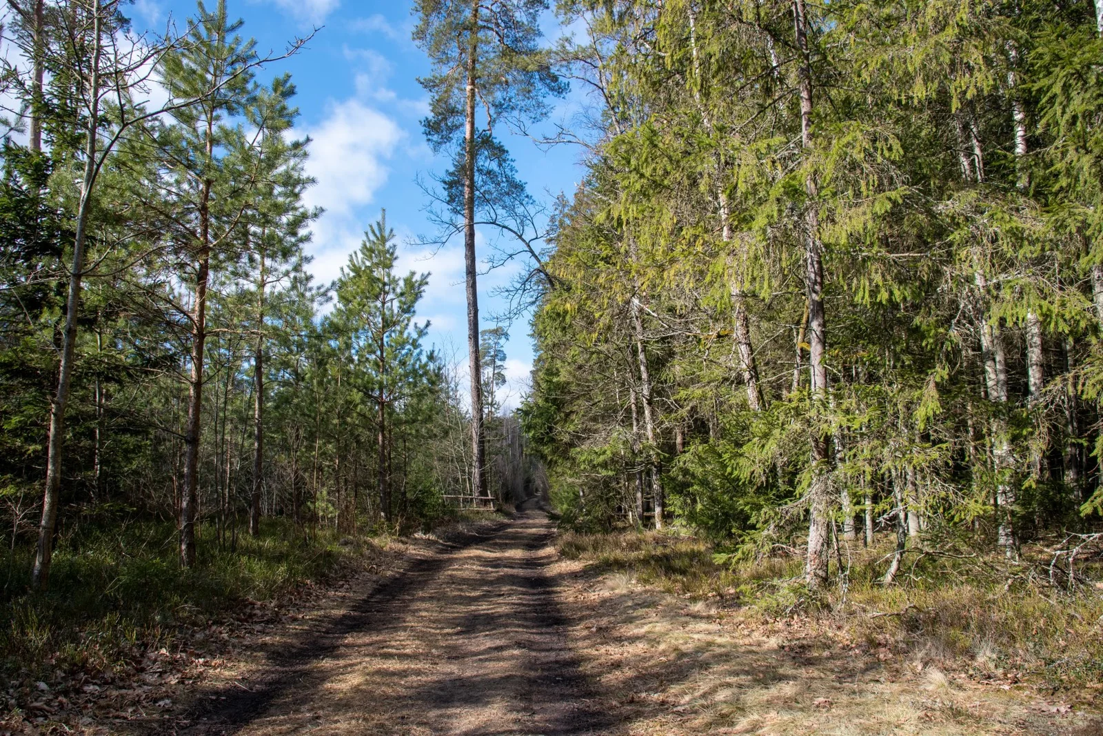 Žygiai Lietuvoje vaikams. Kulautuvos sveikatingumo pėsčiųjų takai (nuotrauka iš mūsų draugų „Nesėdėk namuose“ svetainės)