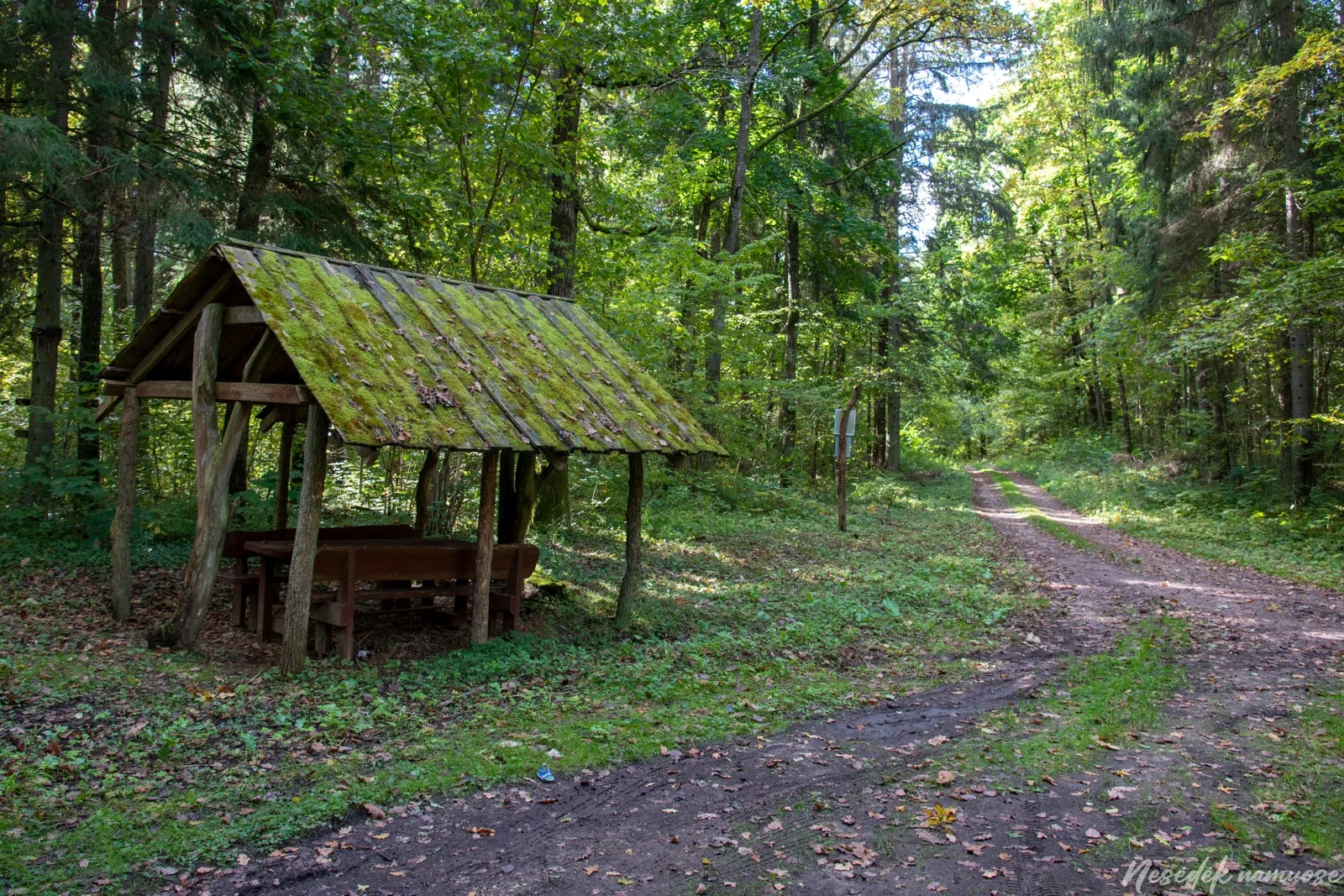 Trako miško pažintinis takas (nuotrauka iš mūsų draugų „Nesėdėk namuose“ svetainės)