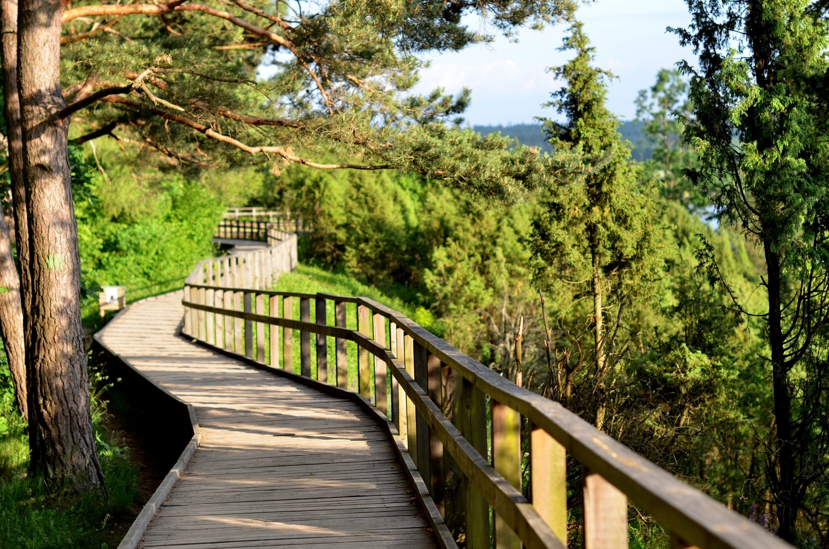 Žygiai Kaune su vaikais