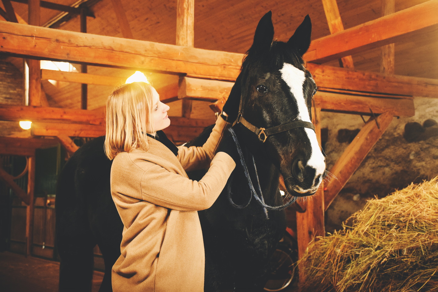 Bistrampolio dvaro žirgynas