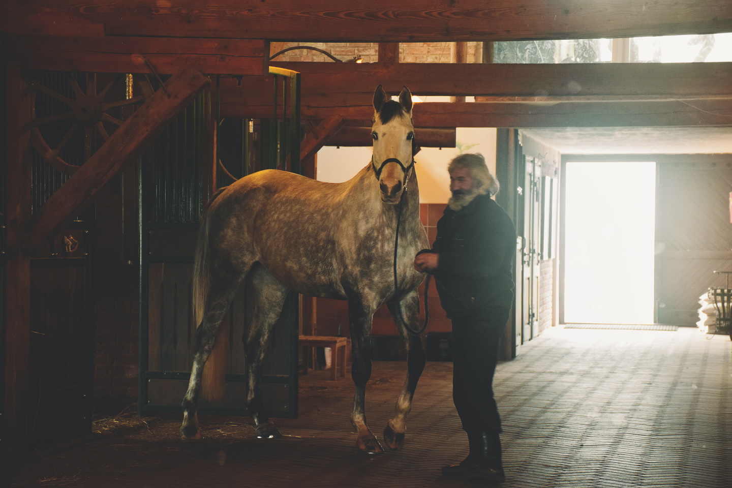 Bistrampolio dvaro žirgynas