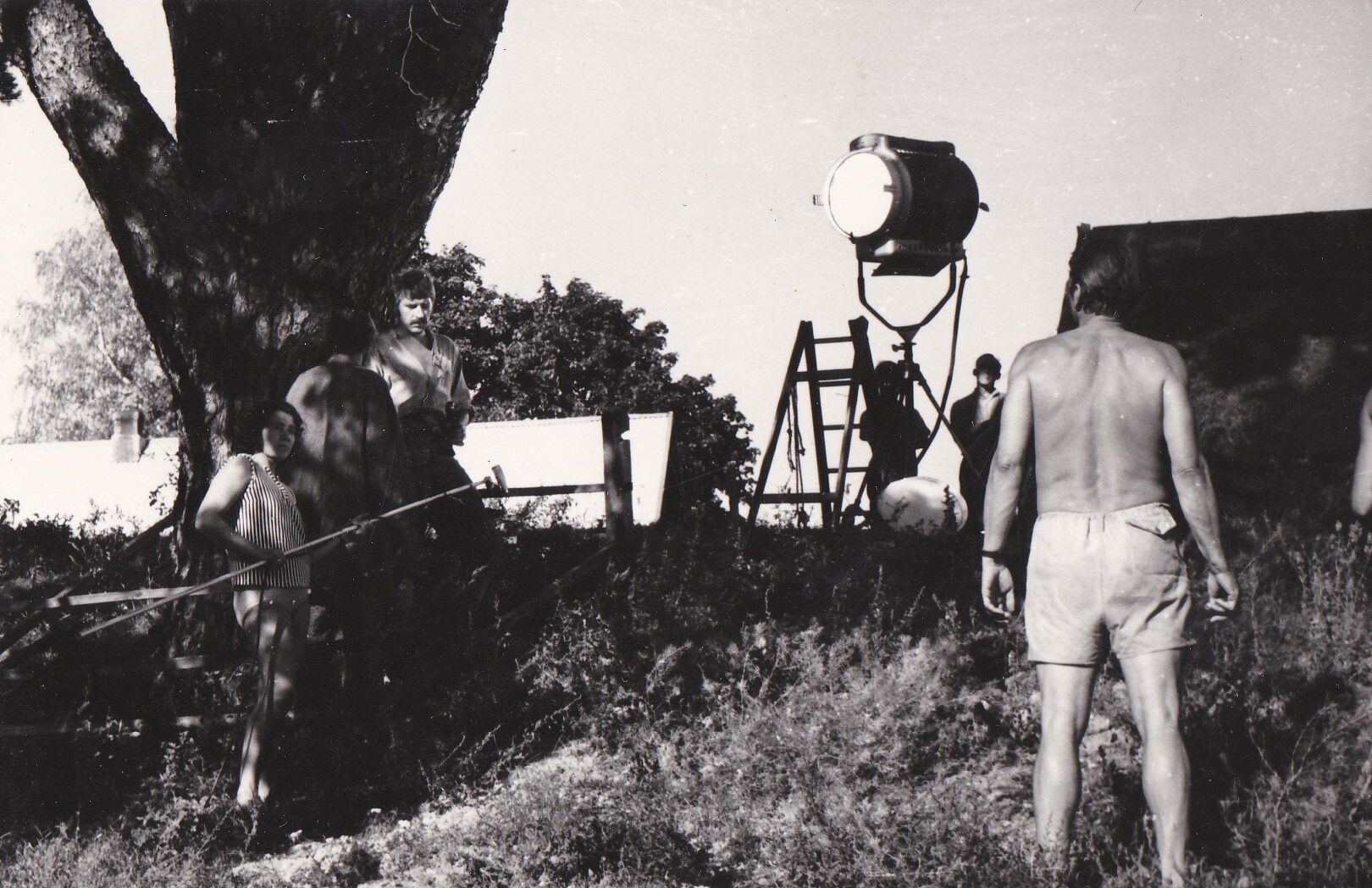 Pasiruošimas pušies filmavimo scenai Šuminuose