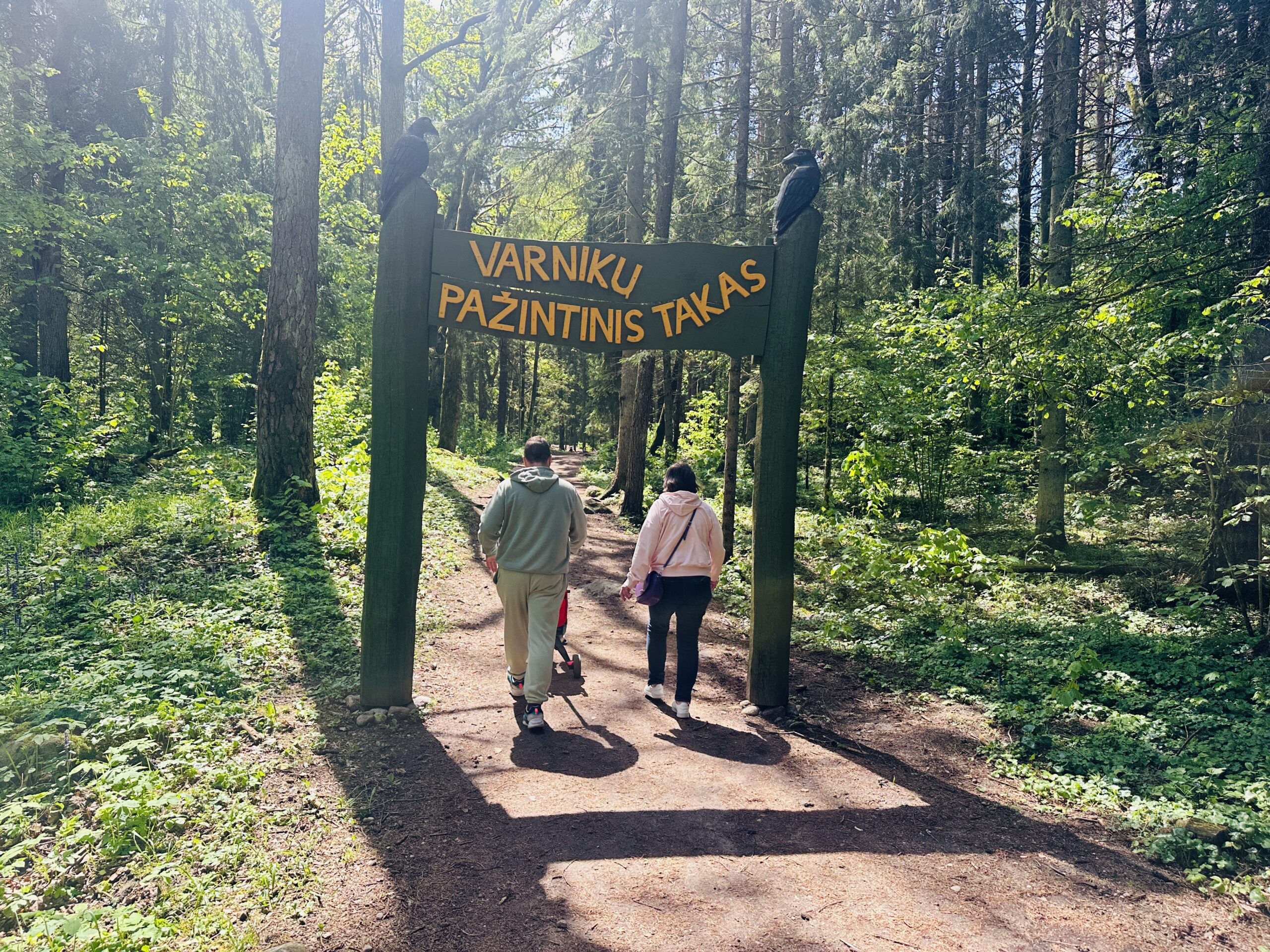 10 gražiausių pažintinių takų aplink Vilnių su vaikais: maršrutai šeimos išvykoms