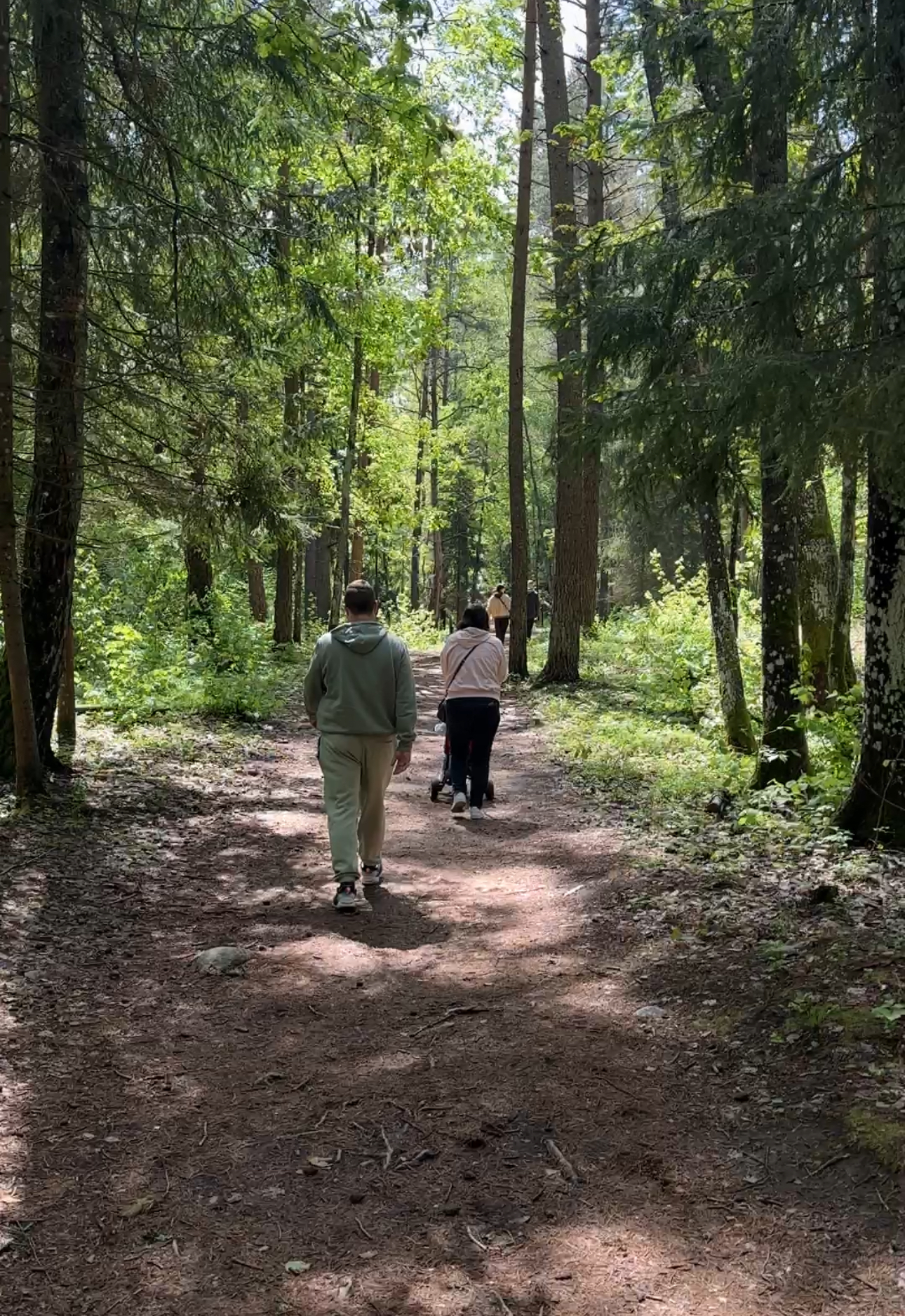 10 gražiausių pažintinių takų aplink Vilnių su vaikais: maršrutai šeimos išvykoms