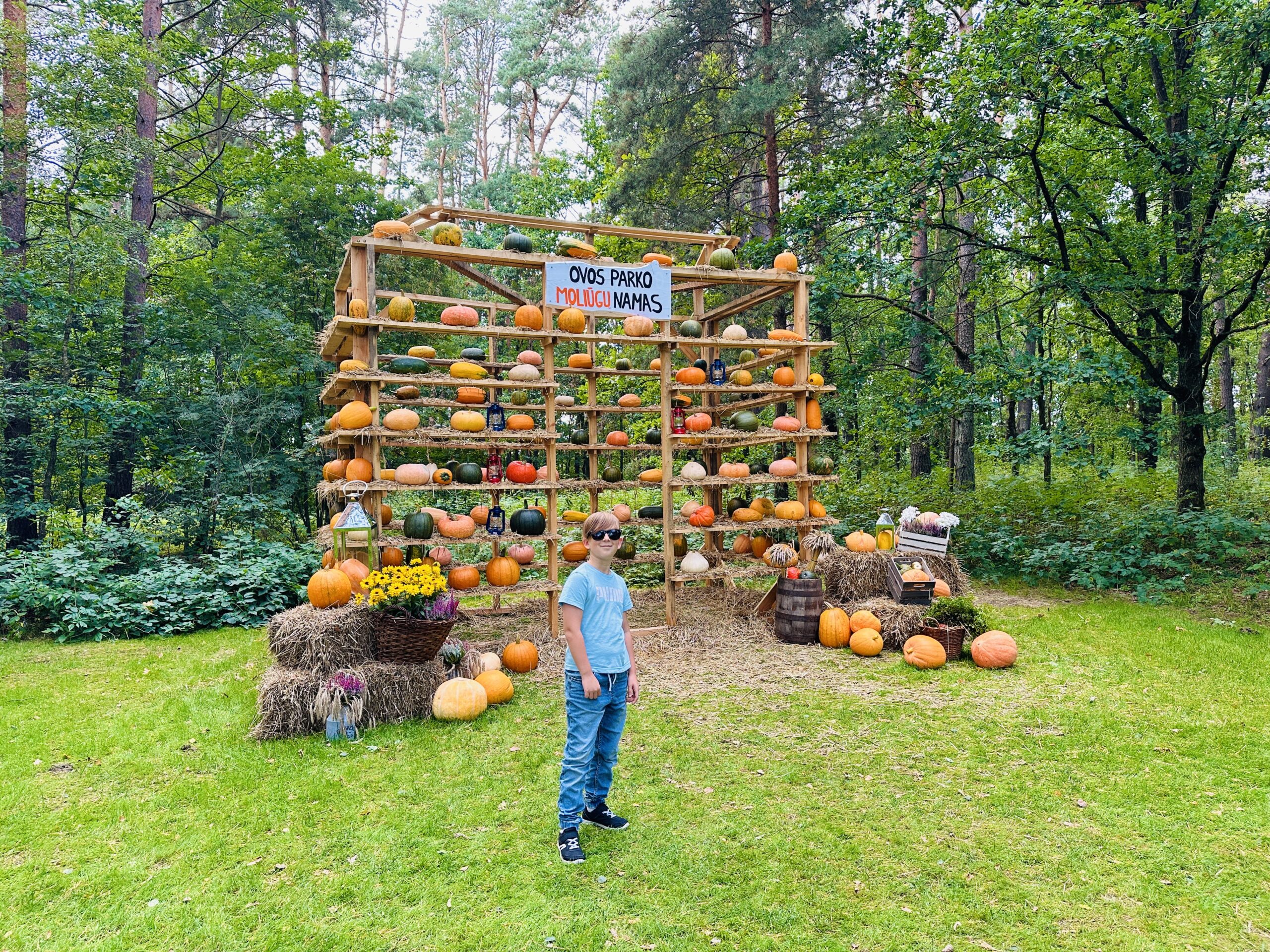 Abejingų nepaliekanti nauja rudens pramogų vieta: magiškas Ovos parkas Kauno rajone