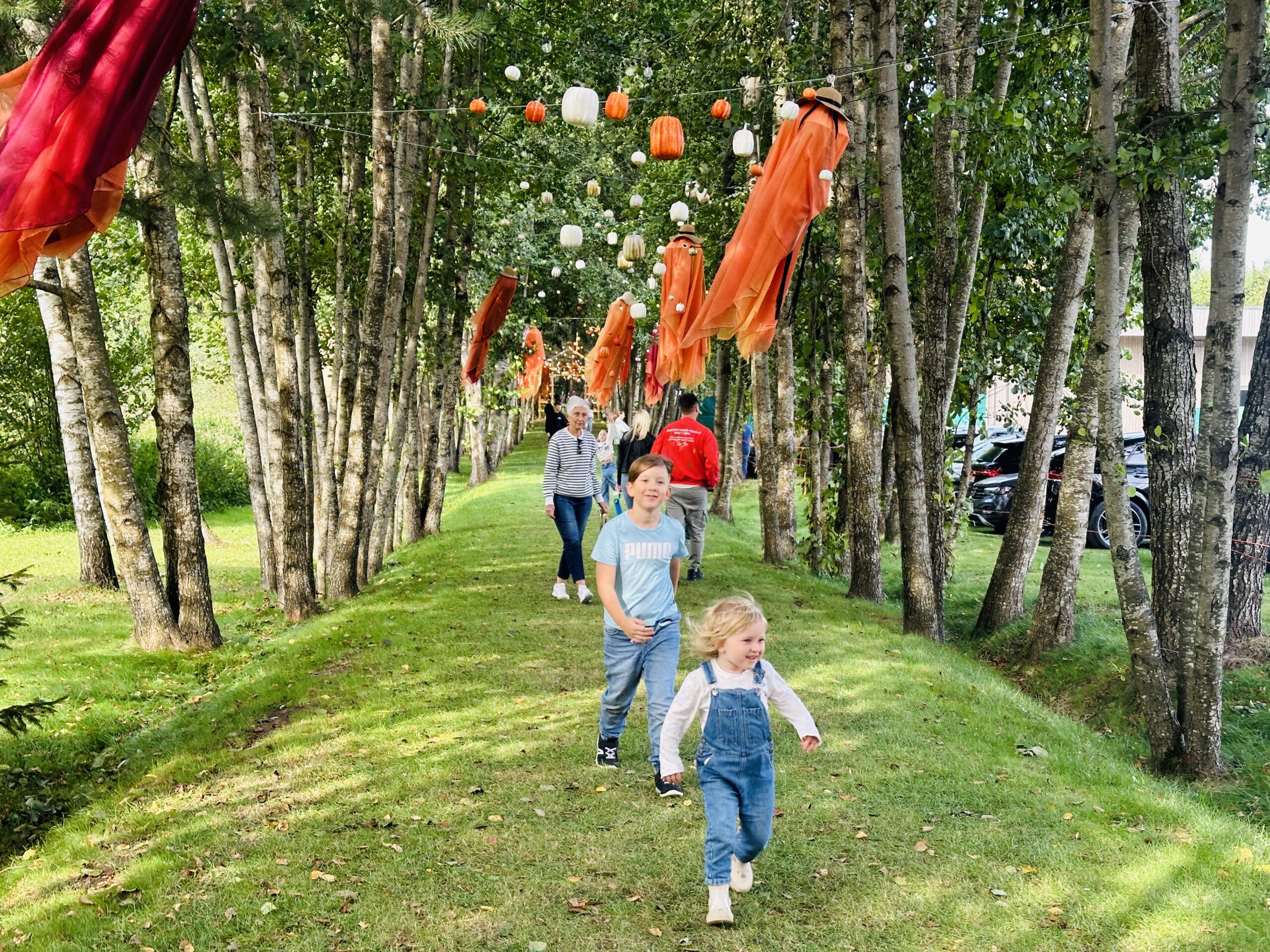 Abejingų nepaliekanti nauja rudens pramogų vieta: magiškas Ovos parkas Kauno rajone