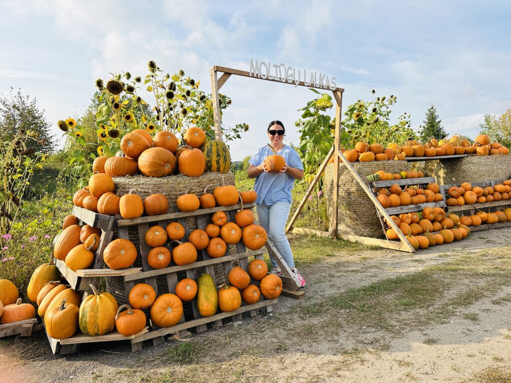 Nemokama instagramiškiausia moliūgų vieta šį rudenį