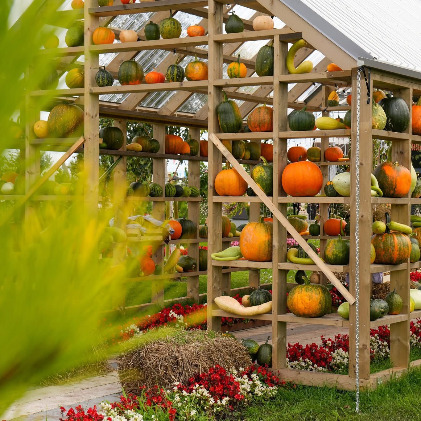 Moliūgų parkai ir pramogos Lietuvoje