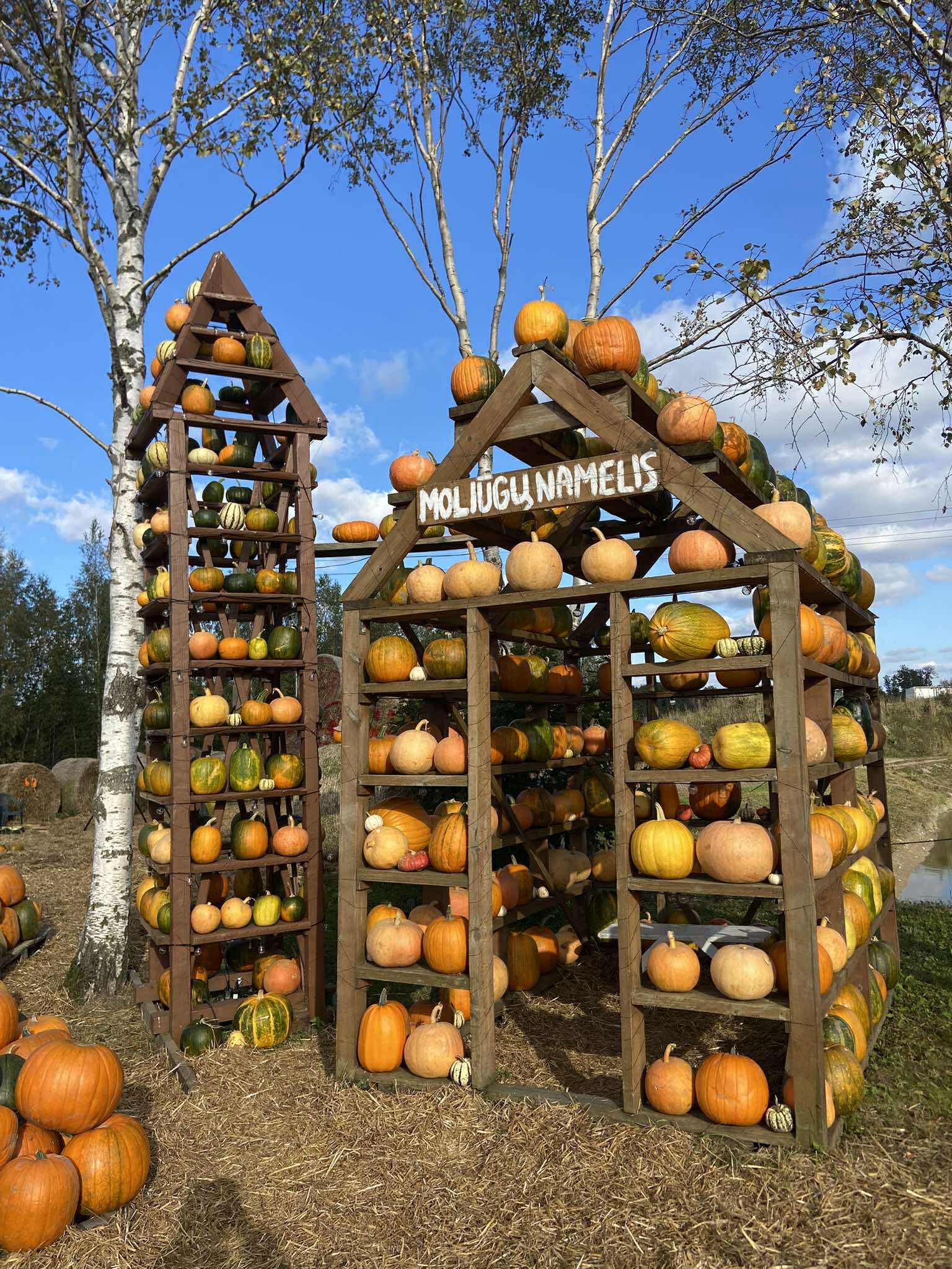 Kur pamatyti moliūgų parką