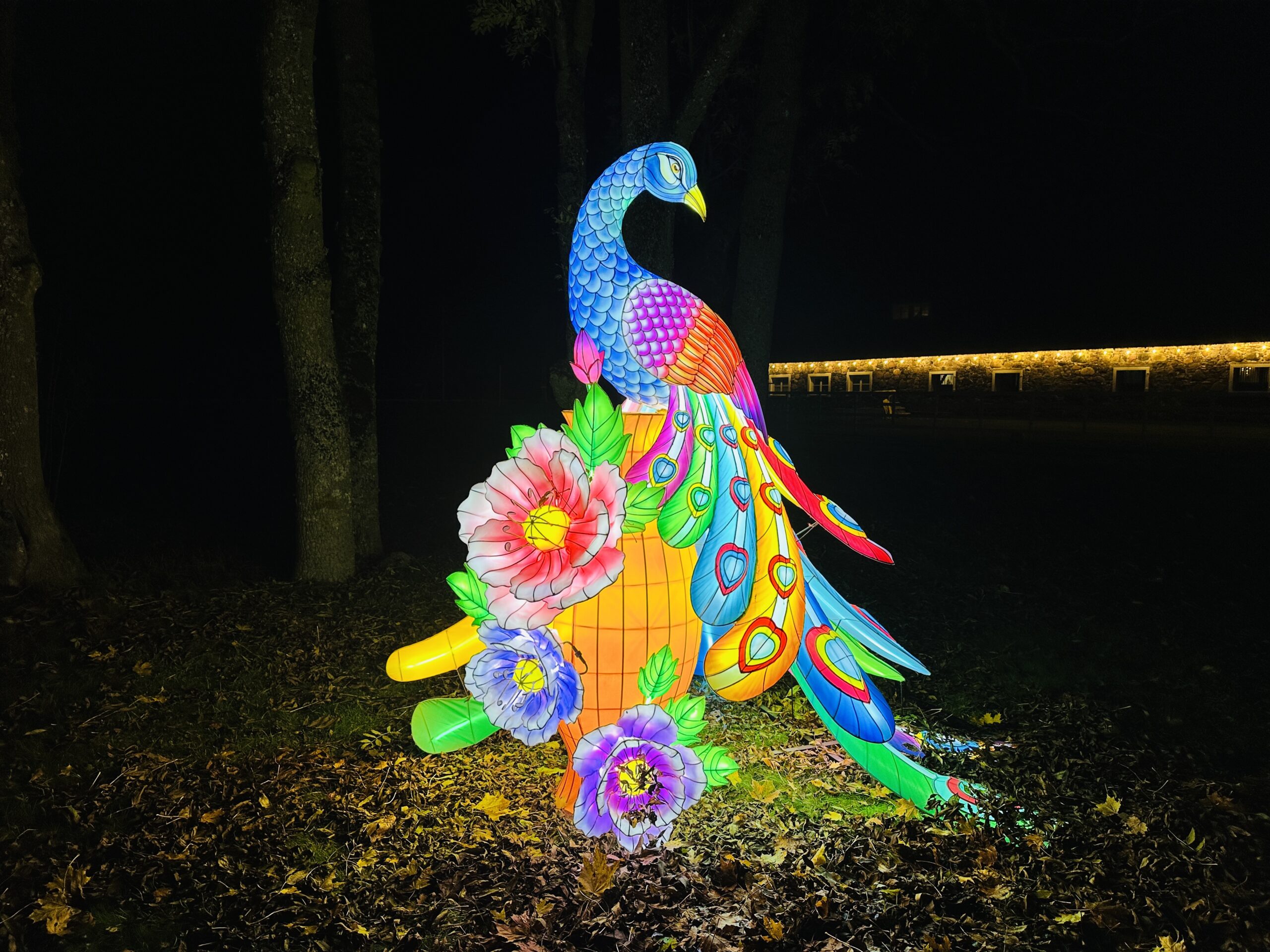 Šviesų festivalis Bistrampolio dvare