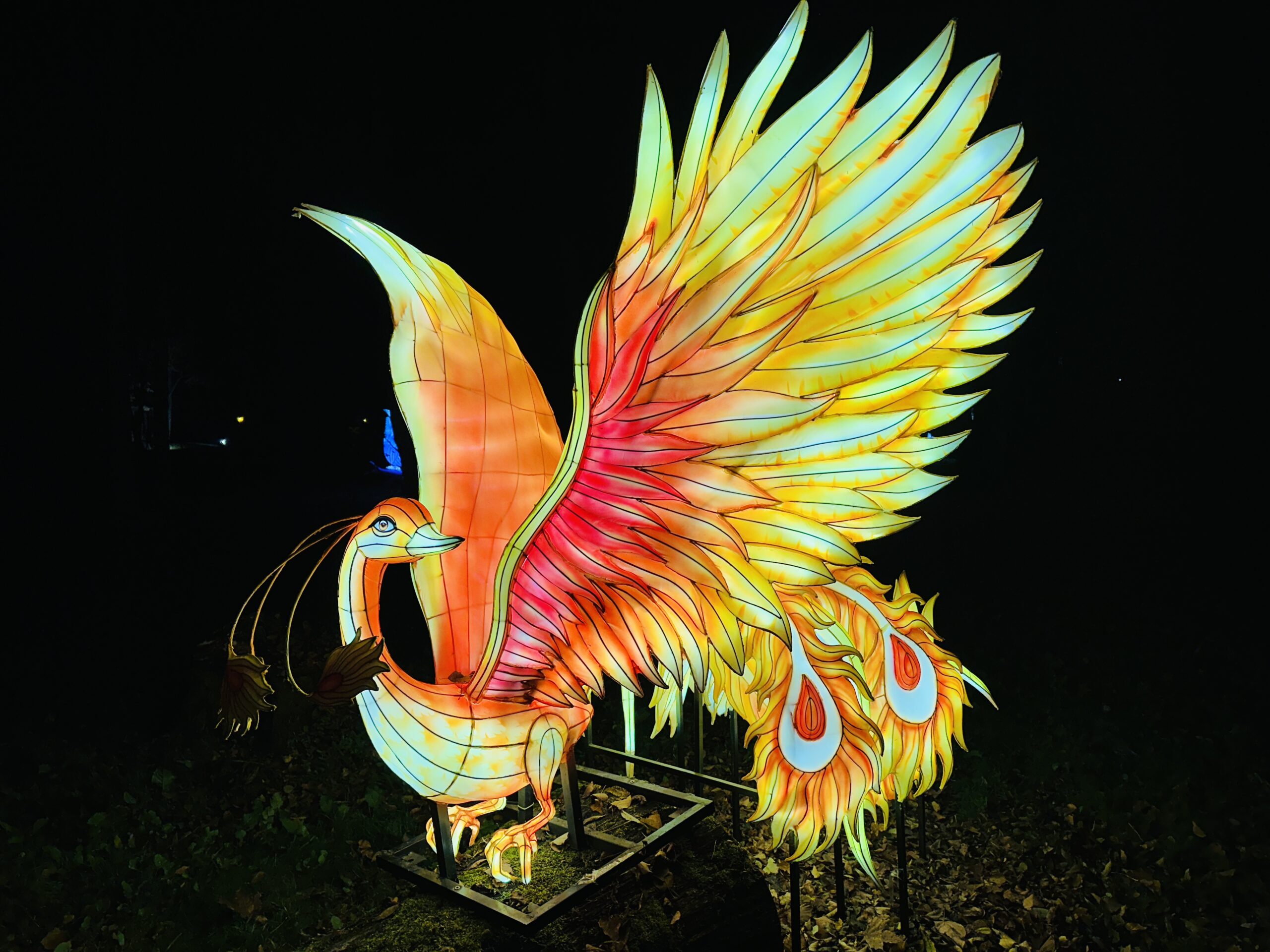 Kukurūzų siaubo labirintas