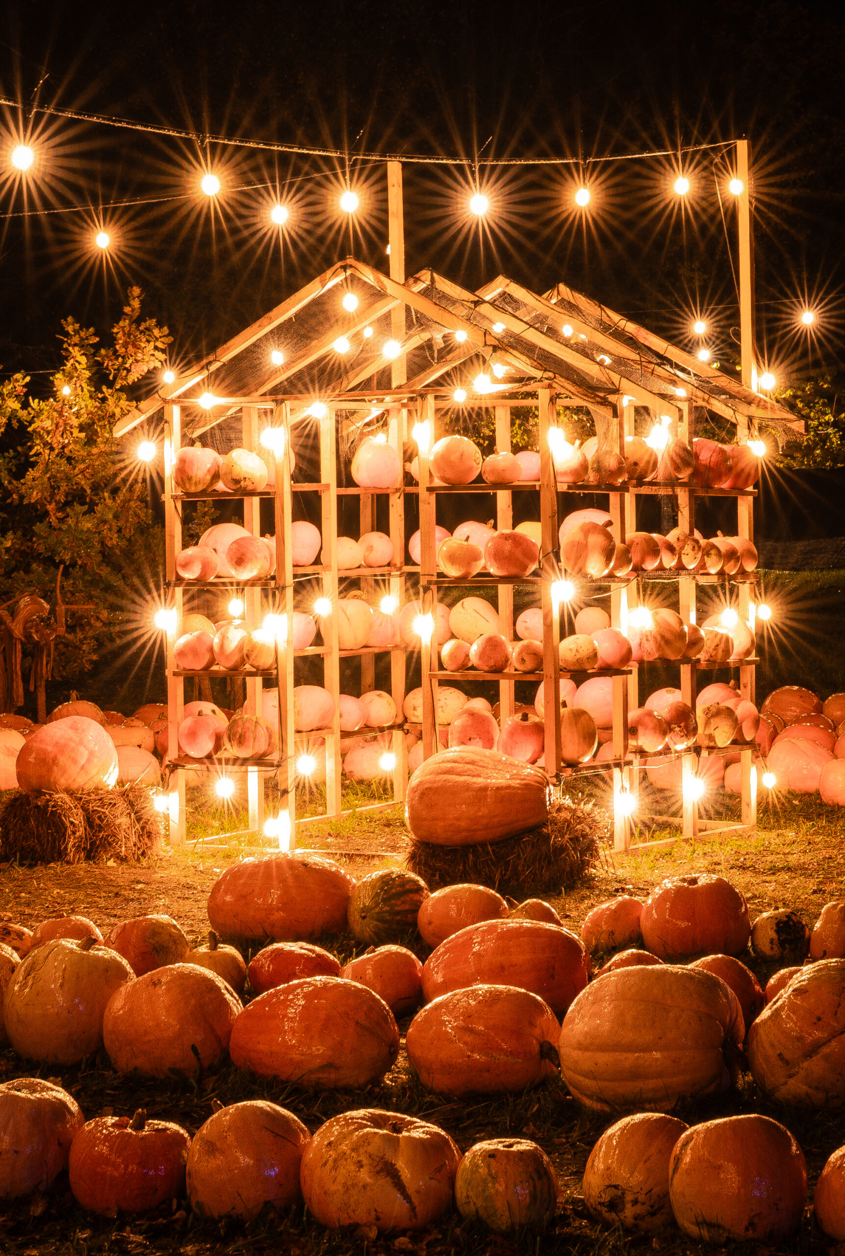 Helovyno dekoracijos Alytuje