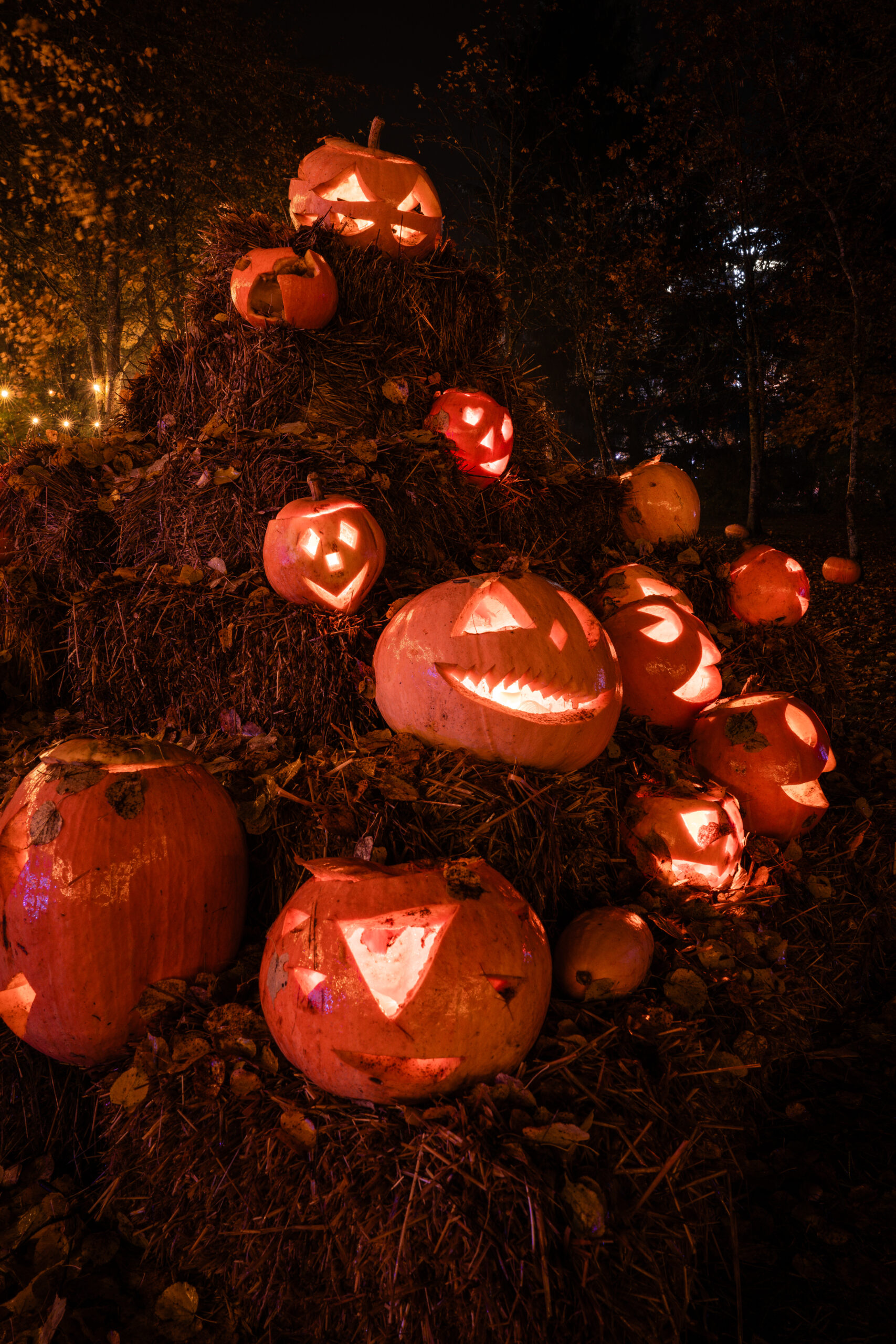 Helovyno dekoracijos Alytuje