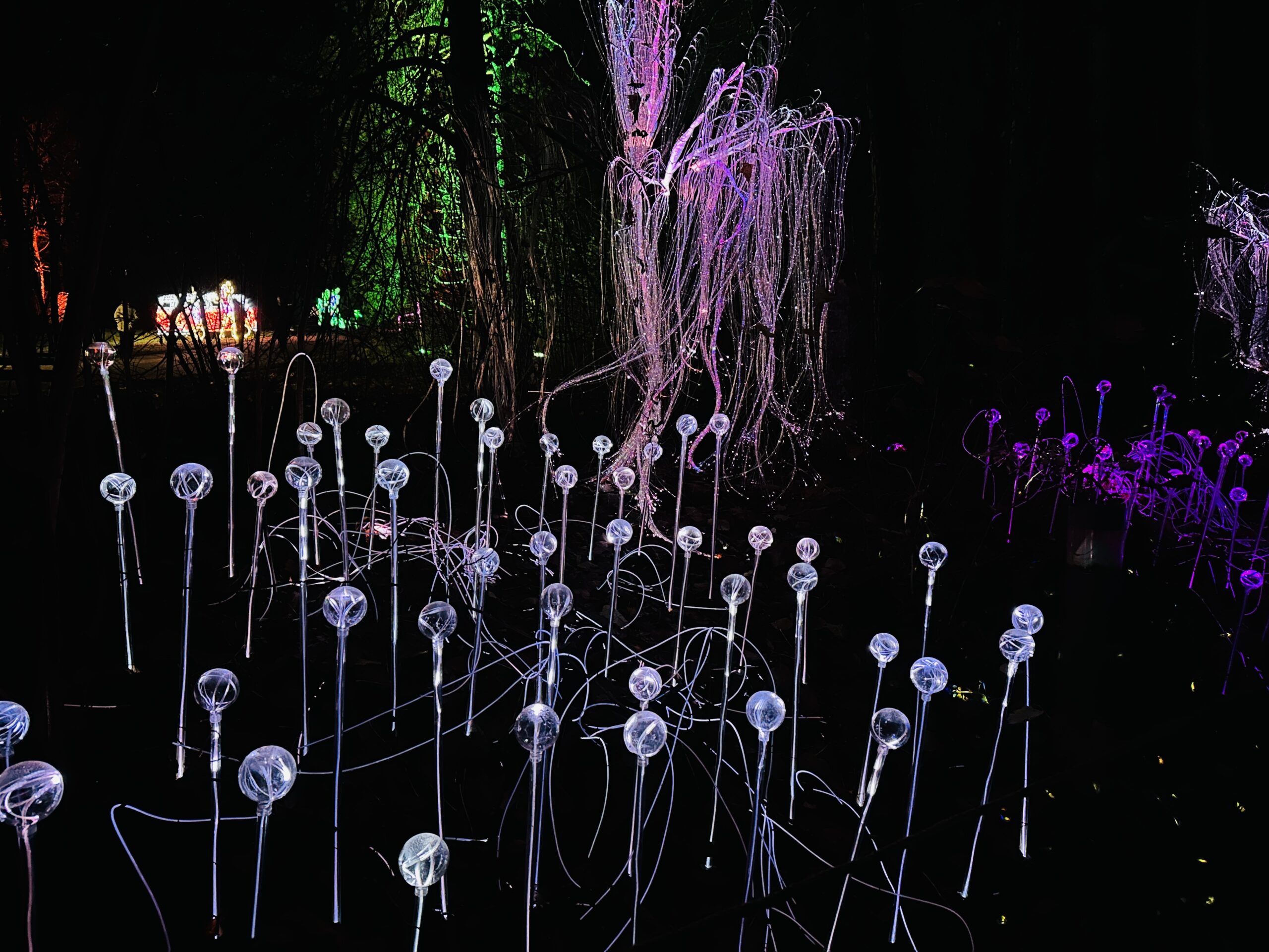 Žiemos pramogos su vaikais