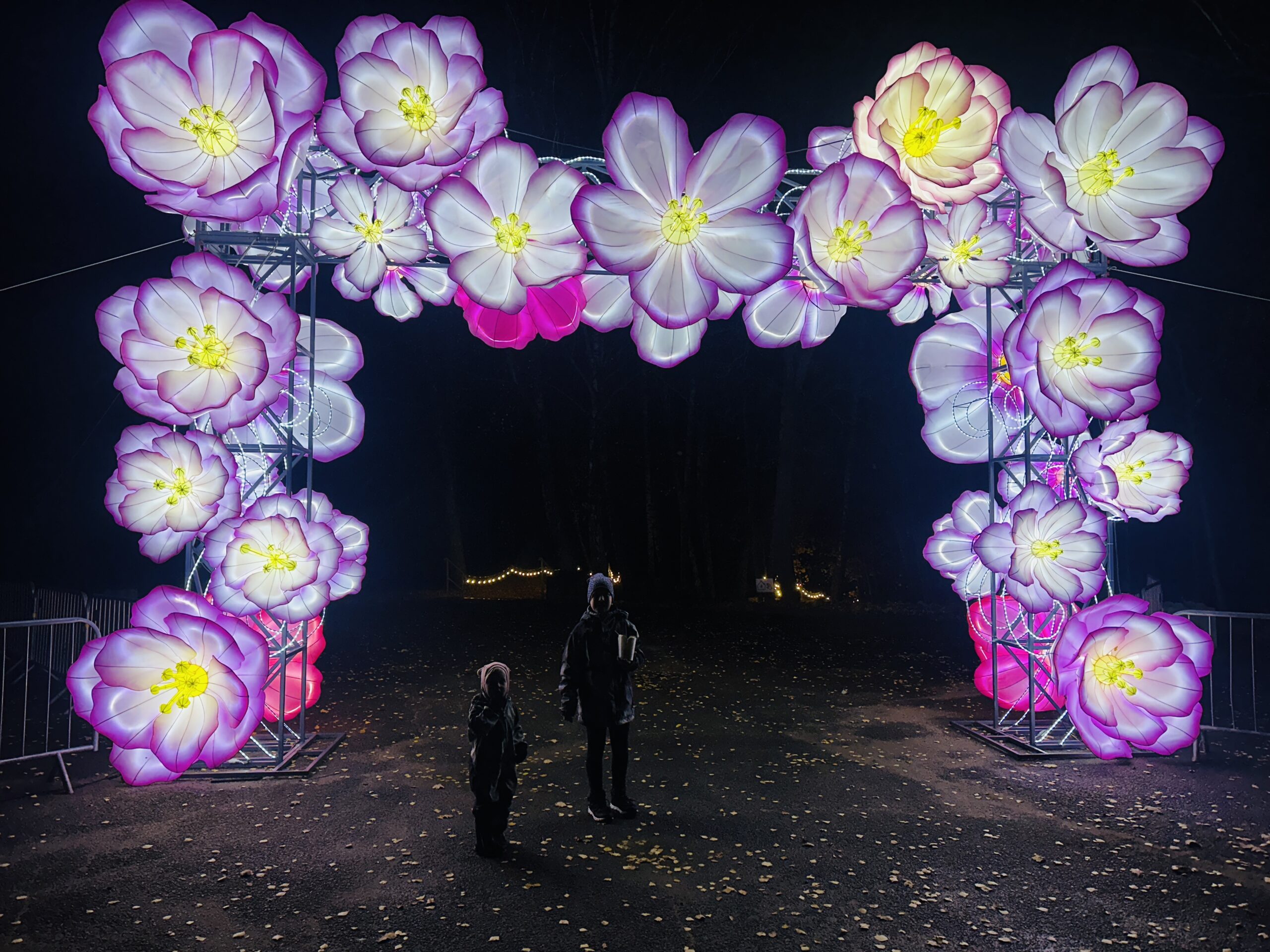 Didžiausias žibintų ir šviesos festivalis „Užburtasis slėnis“