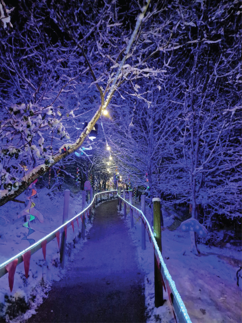 Kalėdos Luggwoods miške Airijoje